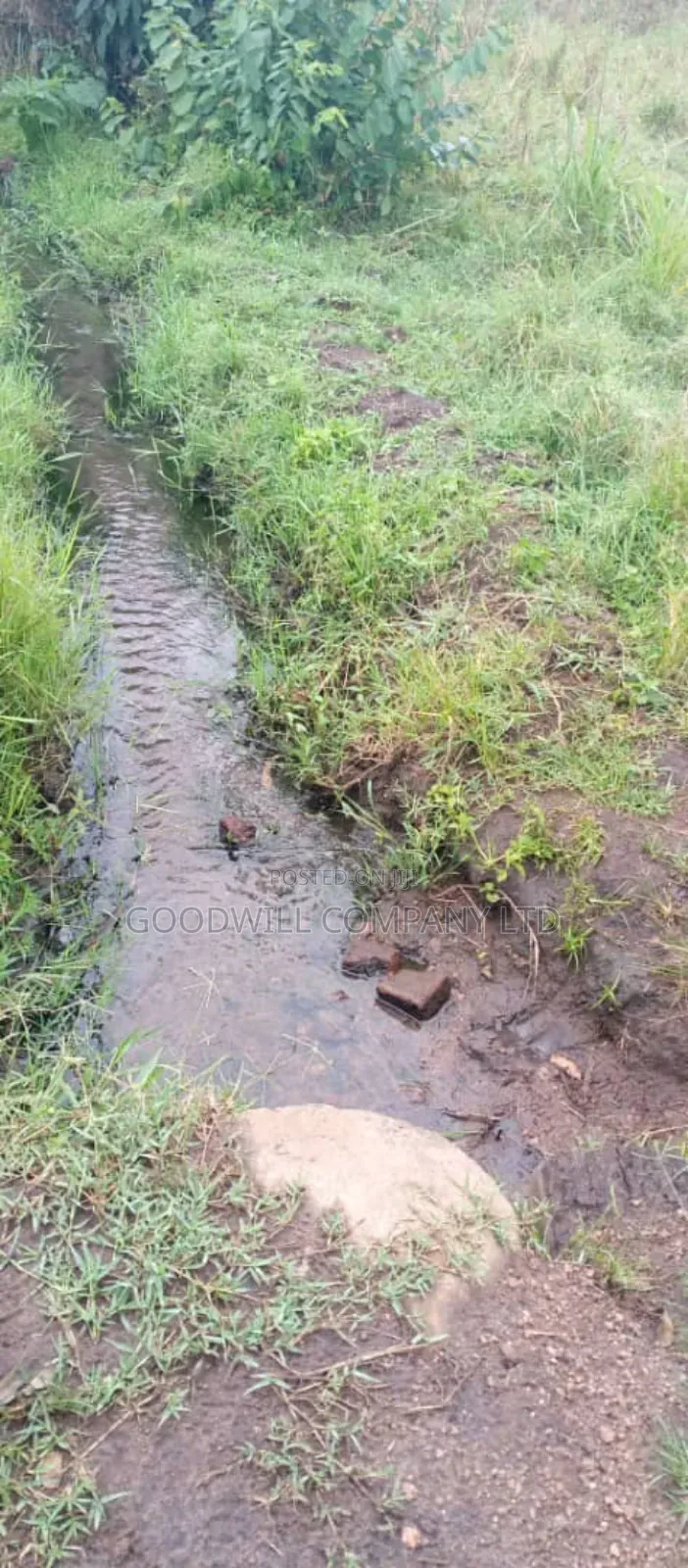 25 Acres of Land in Kakuto Luwero 10km From Luwero Kasana Town to Land in Central Division