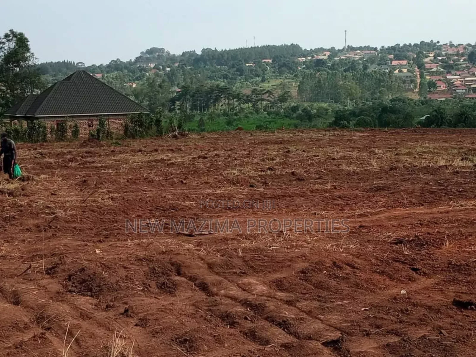 Matuga Town Estate With Affordable Plots at Gie Away Prices in Central Division