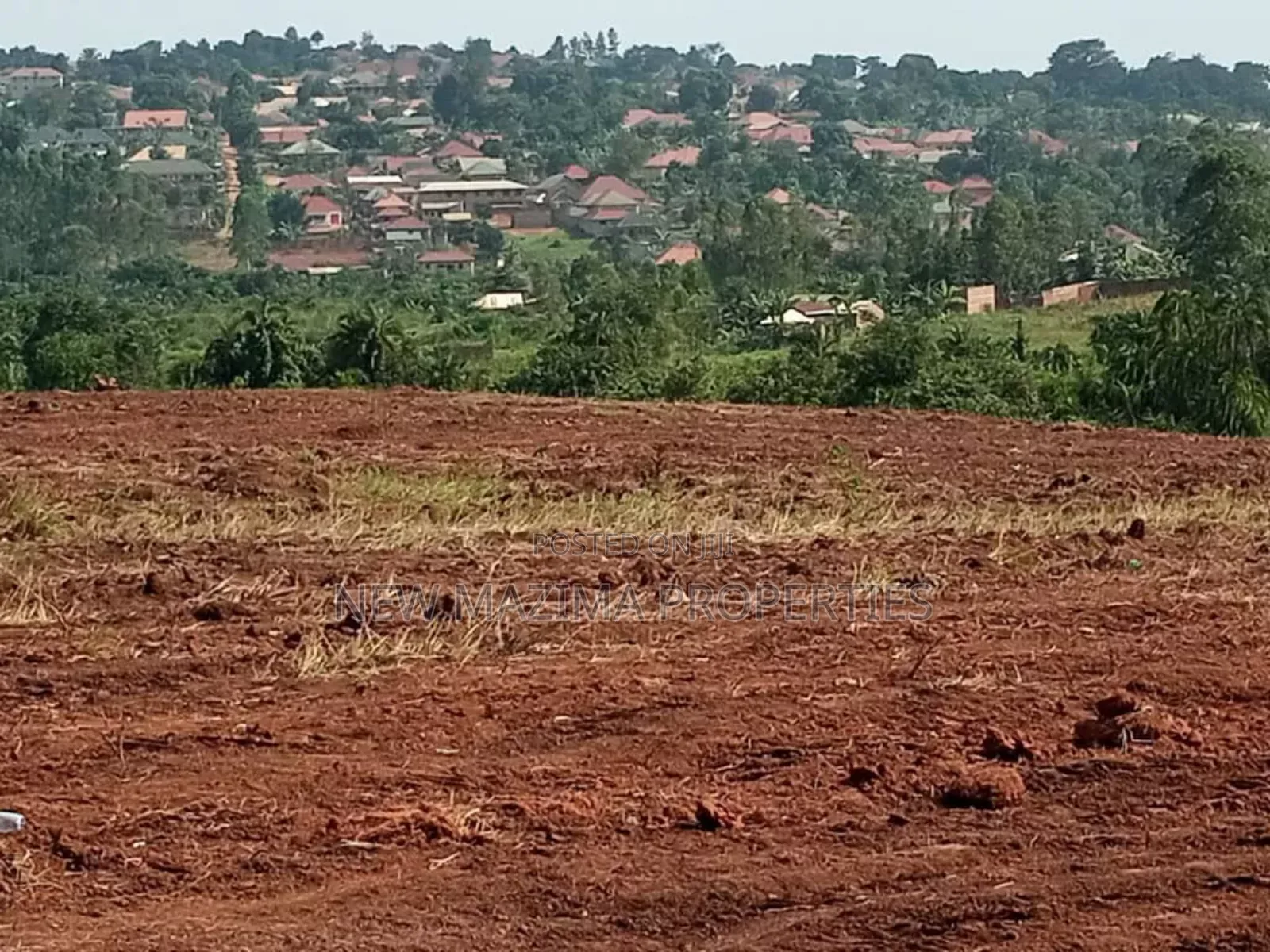Matuga Town Estate With Affordable Plots at Gie Away Prices in Central Division