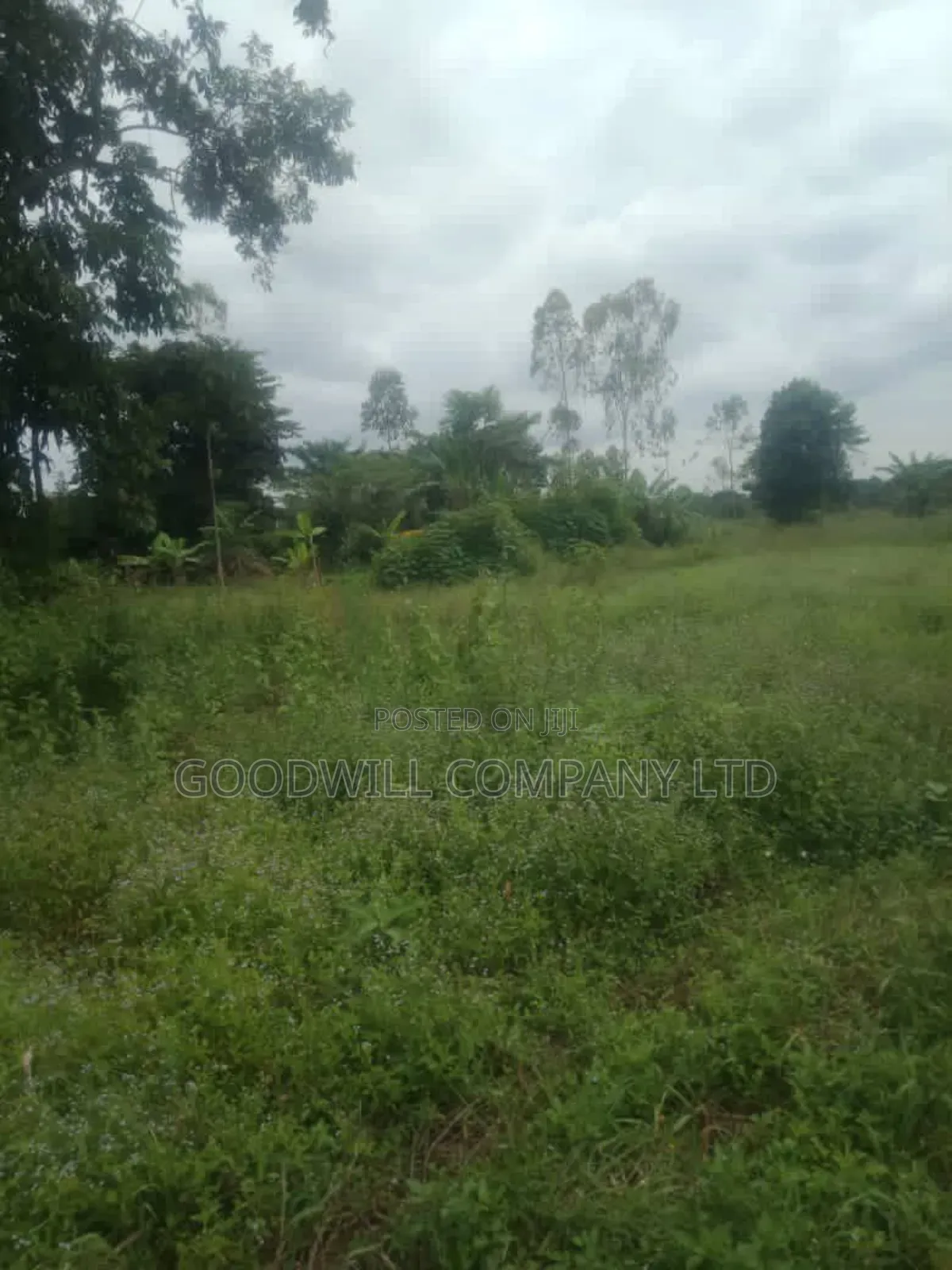 120 Acres of Land in Nakaseke Ngoma. in Central Division
