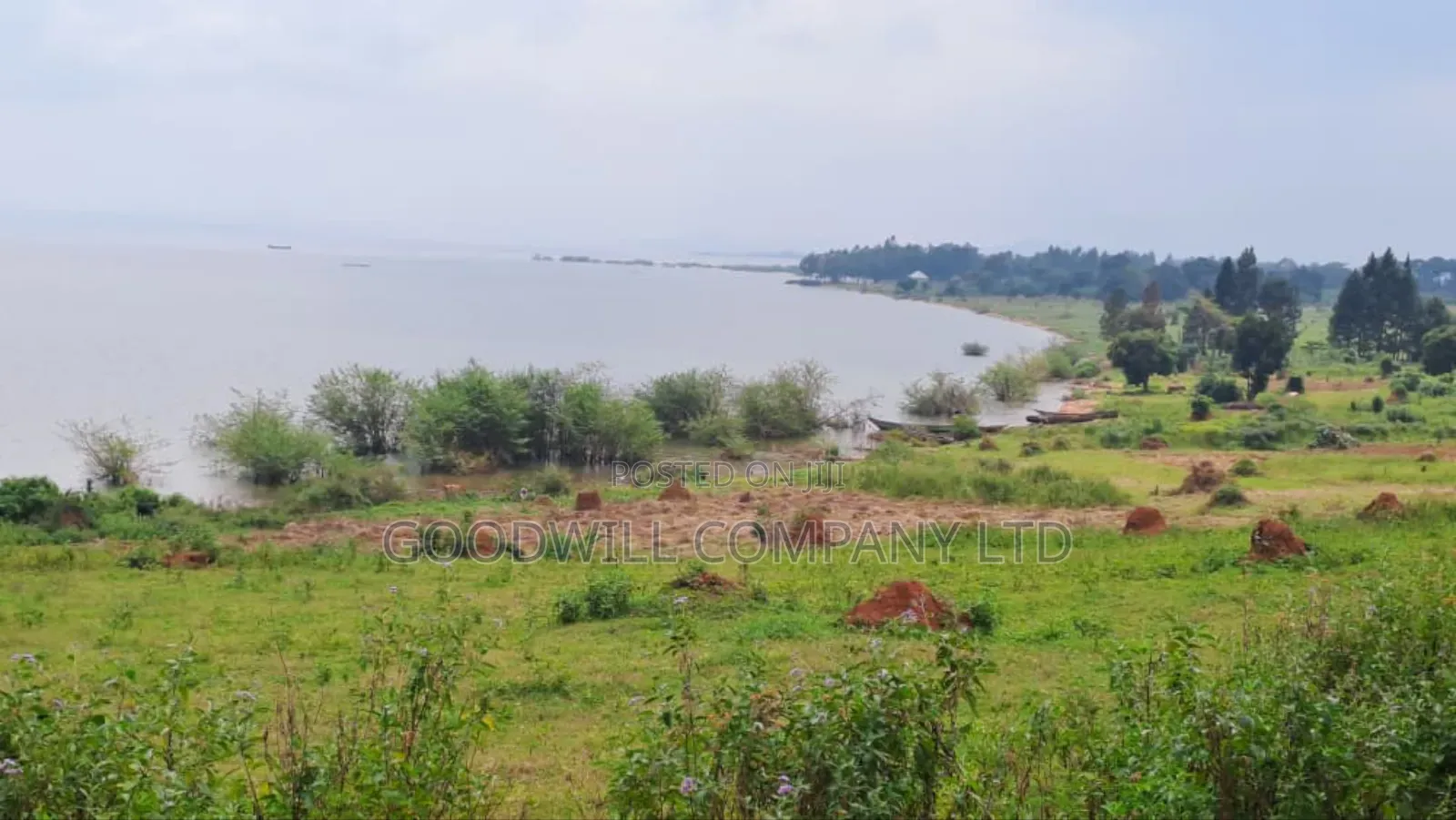 35 Acres of Land in Katosi Lulagwe Touching on Lake Shores of Victoria in Central Division