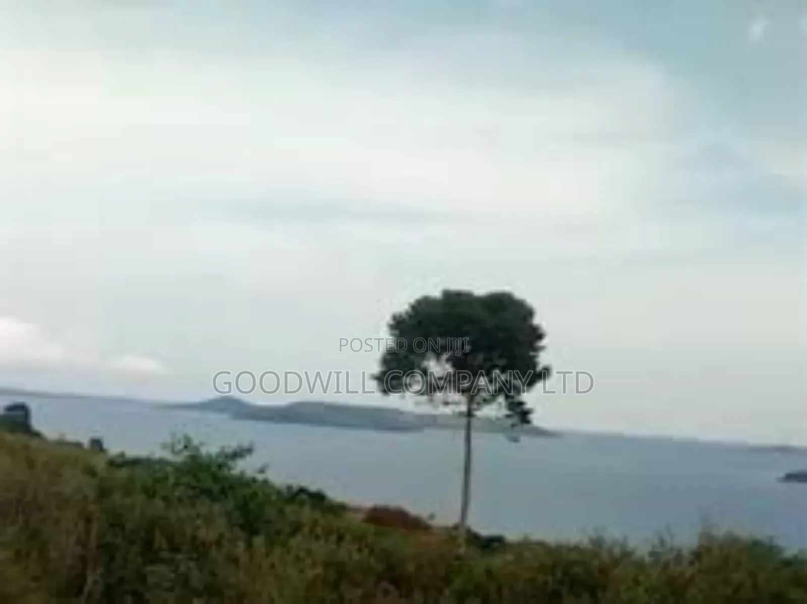 35 Acres of Land in Katosi Lulagwe Touching on Lake Shores of Victoria in Central Division