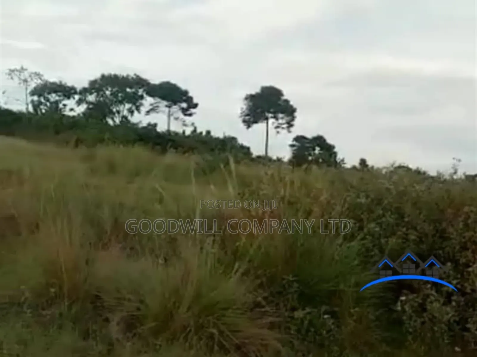 35 Acres of Land in Katosi Lulagwe Touching on Lake Shores of Victoria in Central Division