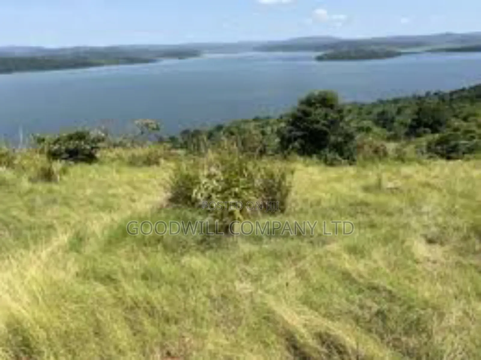 35 Acres of Land in Katosi Lulagwe Touching on Lake Shores of Victoria in Central Division