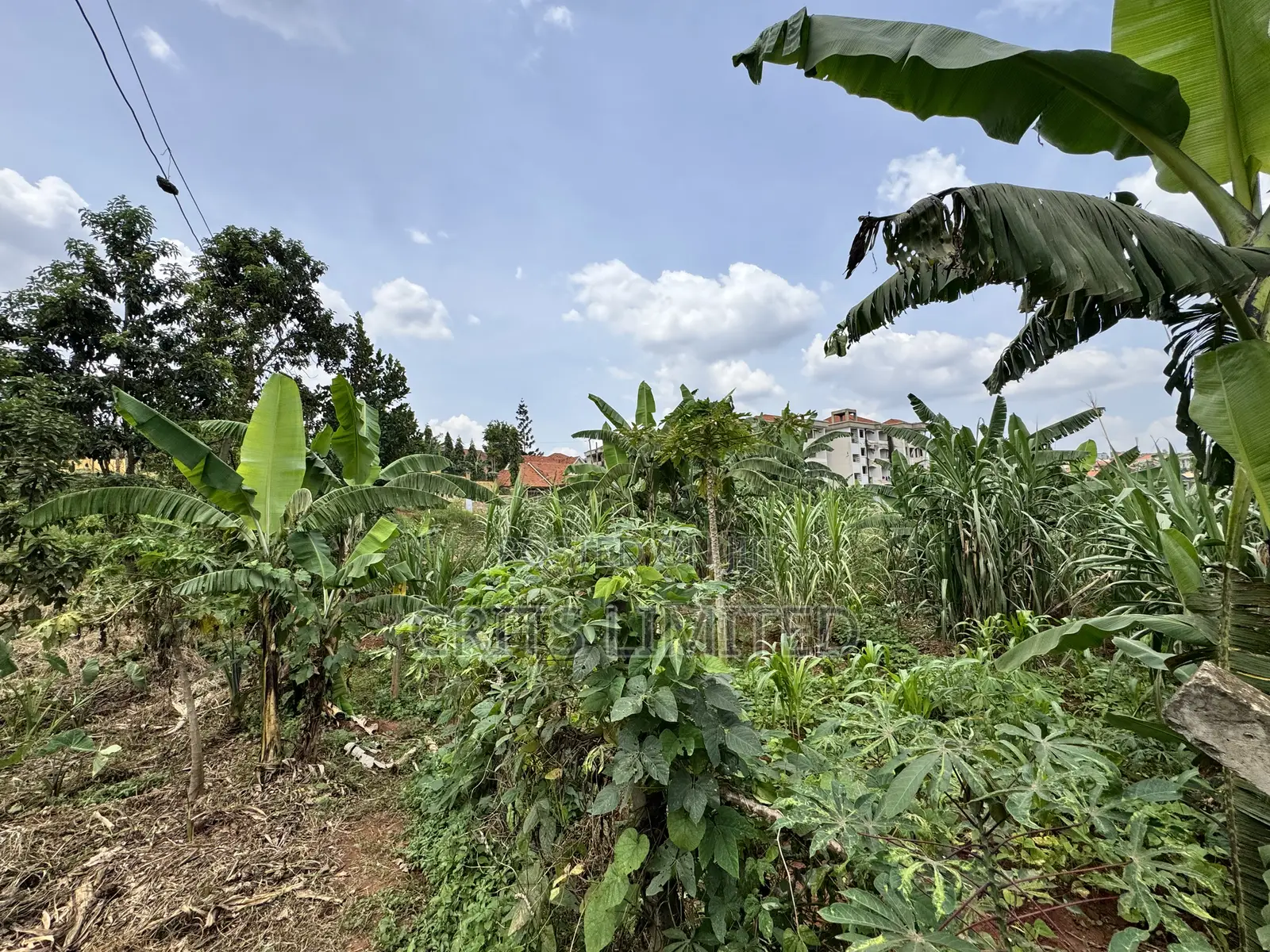 50 Decimals of Private Mailo Land for Sale – Kiwatule, Valley Road in Nakawa