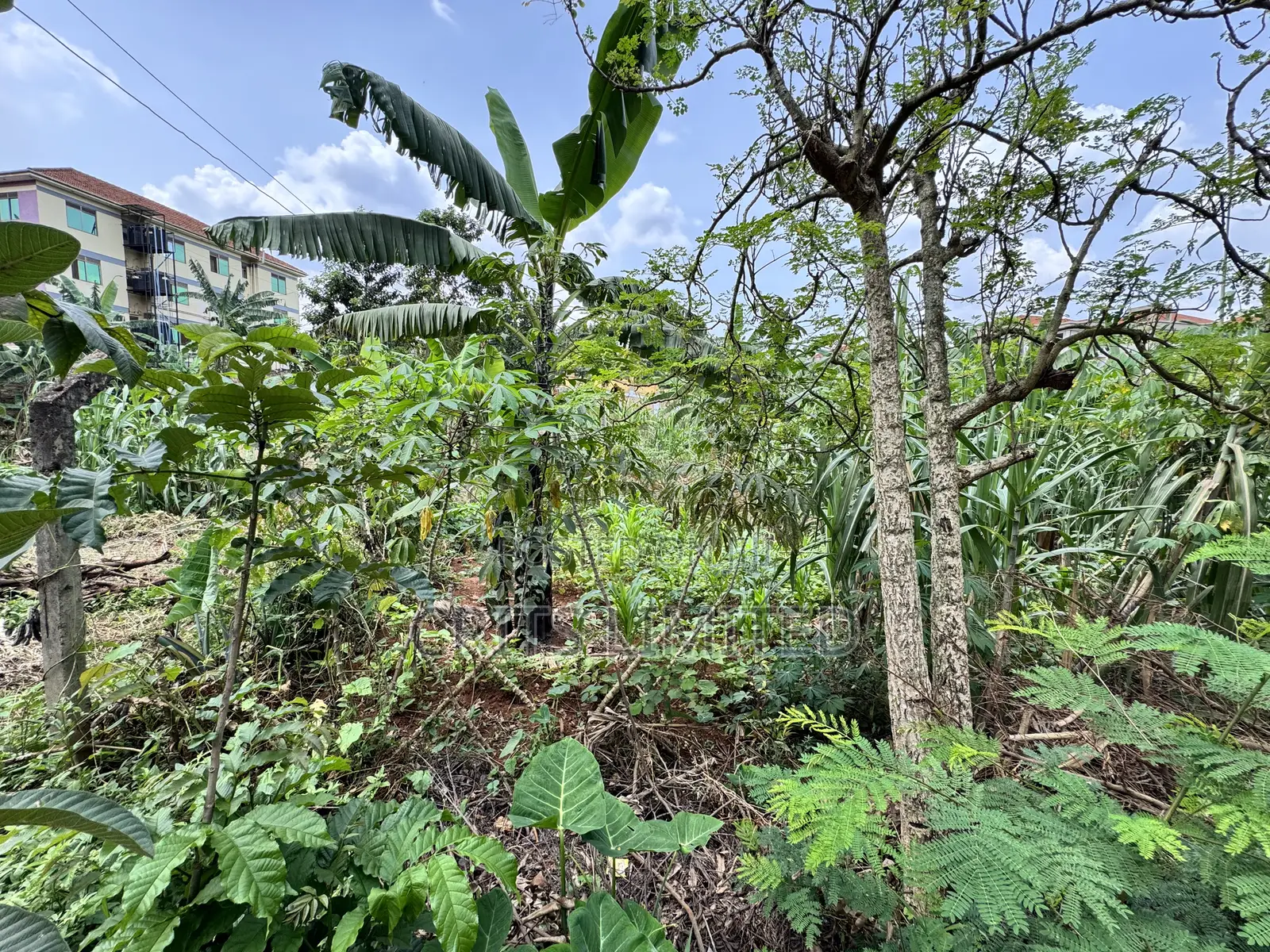 50 Decimals of Private Mailo Land for Sale – Kiwatule, Valley Road in Nakawa