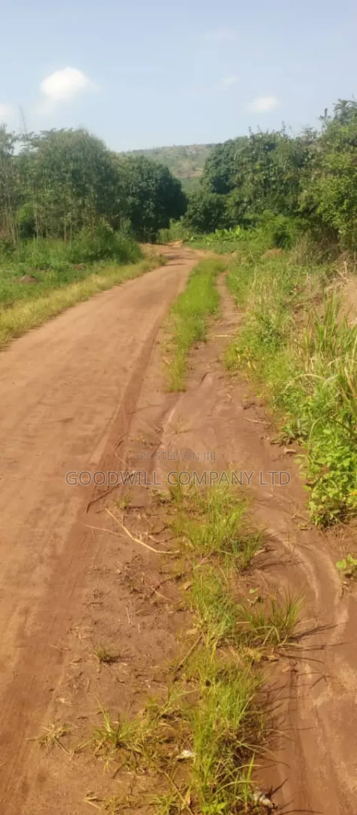 10 Acres on Sale in Kikyuusa Wabusaana Kankoole Village 9km From in Central Division