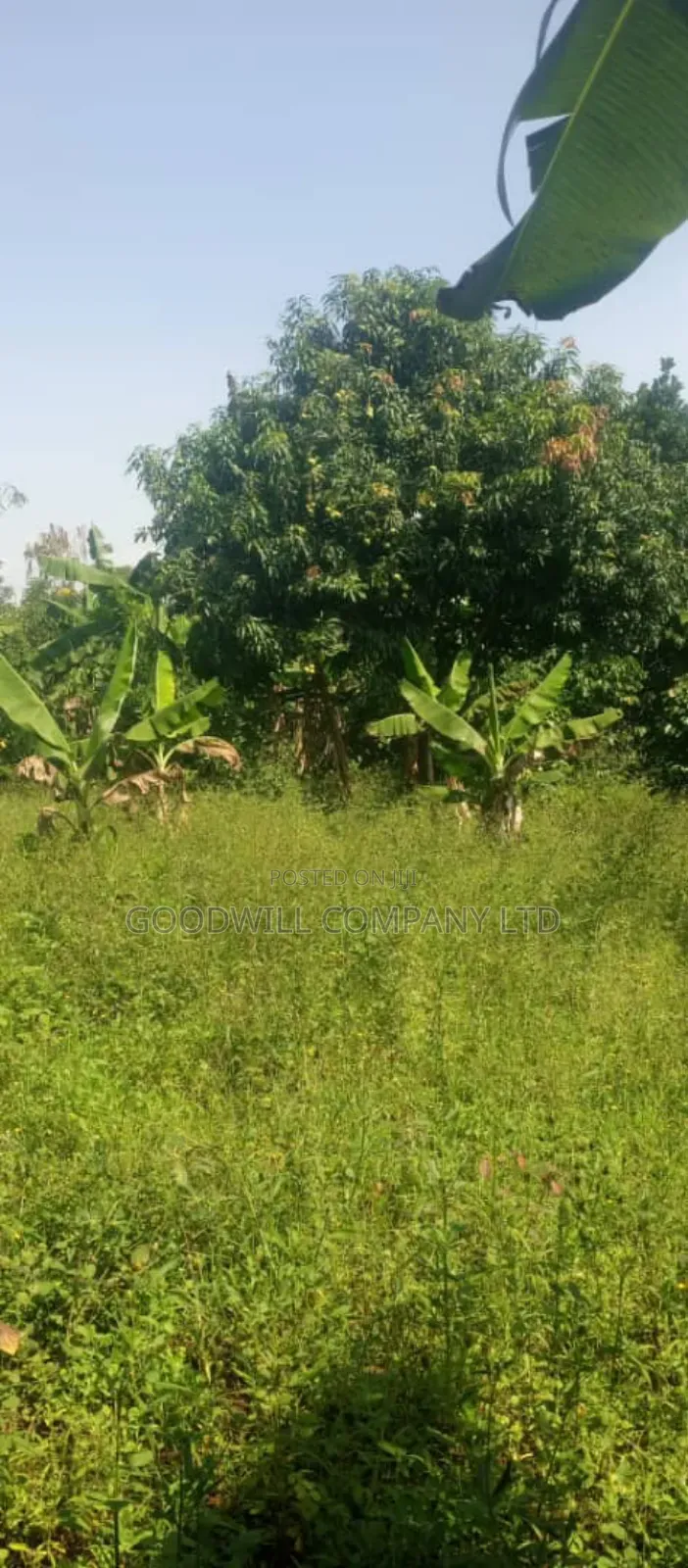10 Acres on Sale in Kikyuusa Wabusaana Kankoole Village 9km From in Central Division