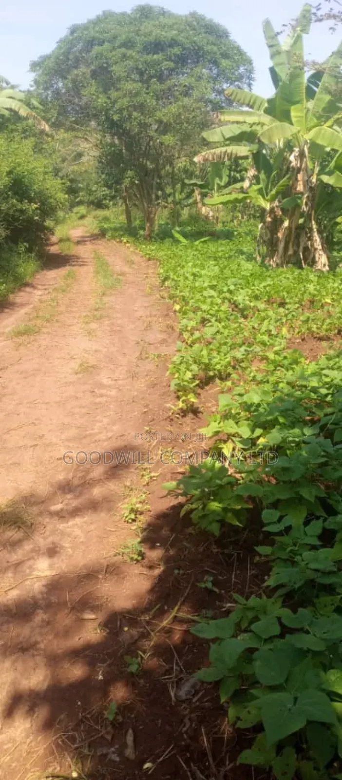 10 Acres on Sale in Kikyuusa Wabusaana Kankoole Village 9km From in Central Division