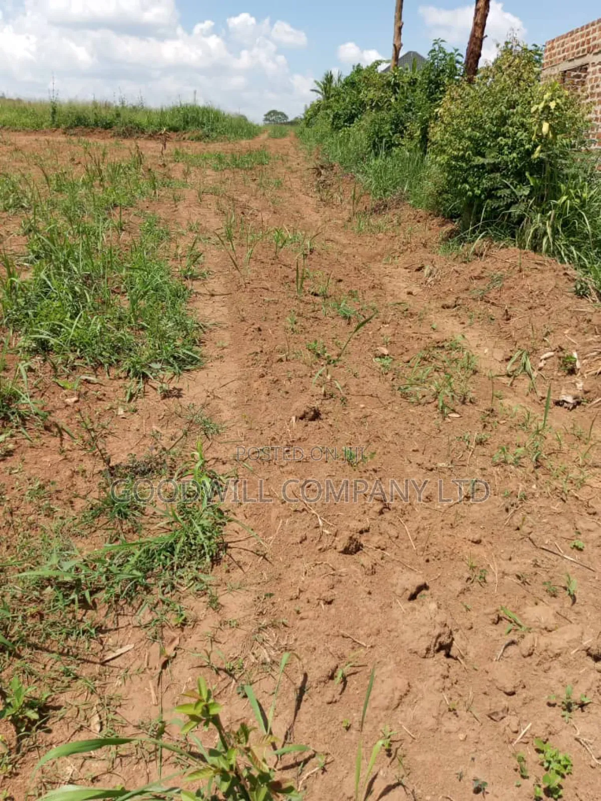 Bombo Road – Matugga: 4 Acres for Sale in Matugga – Kiryowa in Central Division