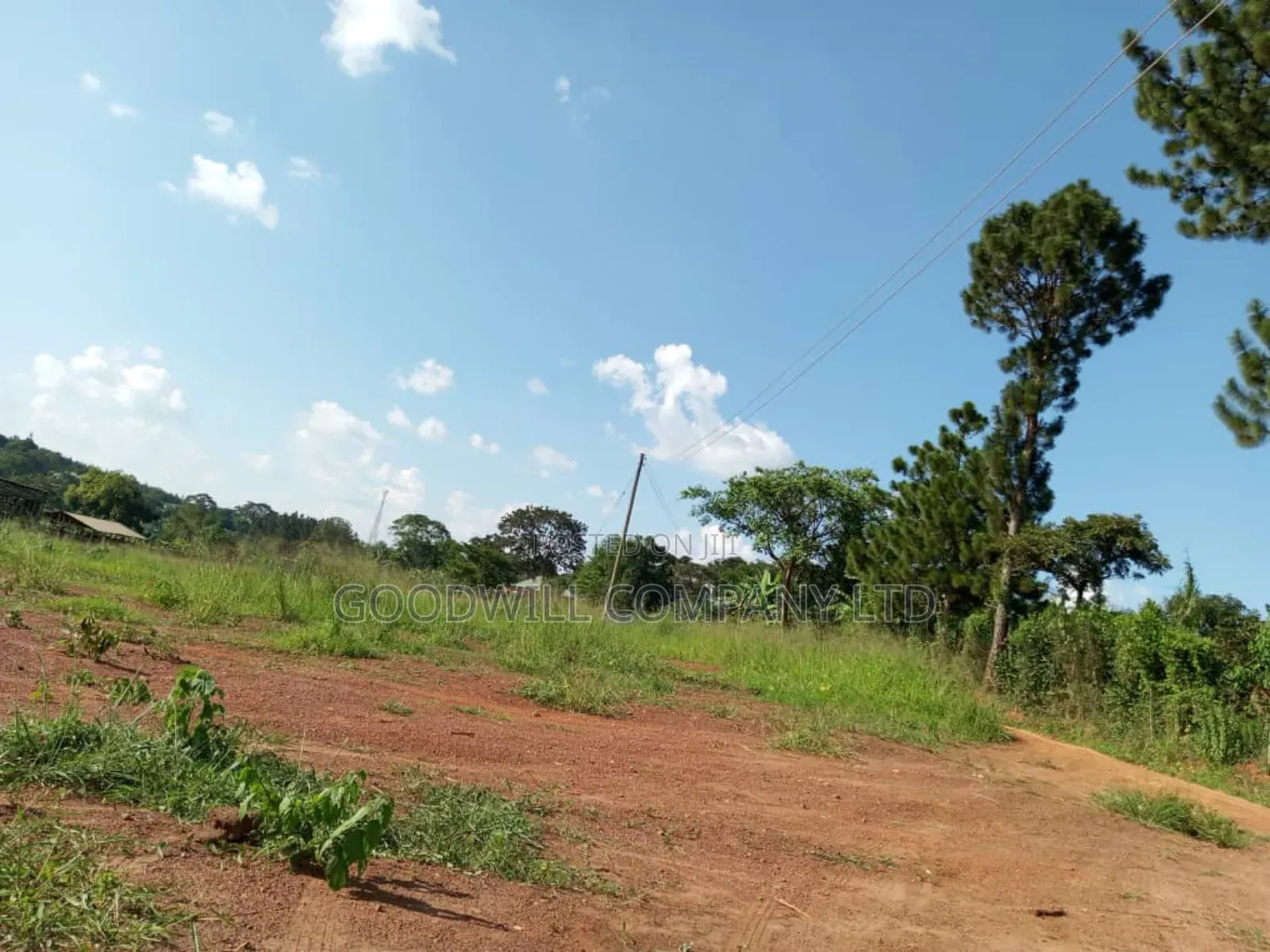 Bombo Road – Matugga: 4 Acres for Sale in Matugga – Kiryowa in Central Division