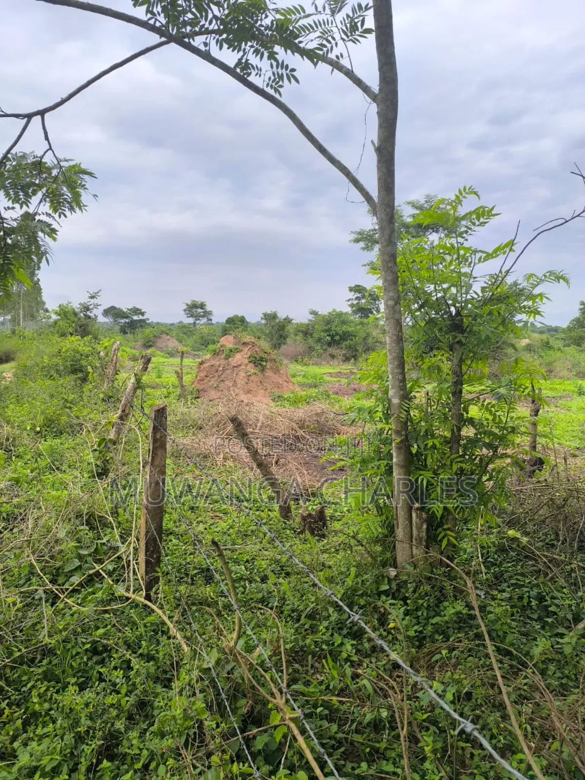 500acres Onon Sale in Nakasongola in Kakooge