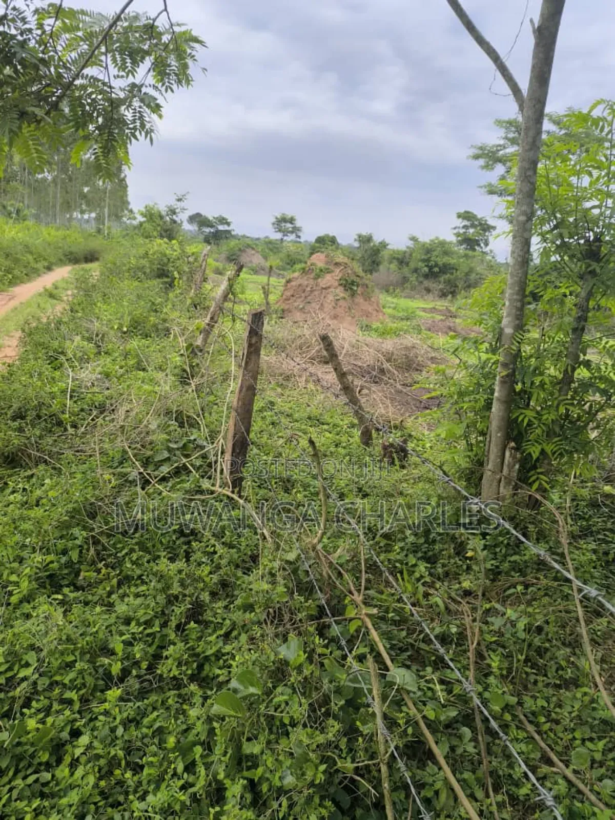500acres Onon Sale in Nakasongola in Kakooge