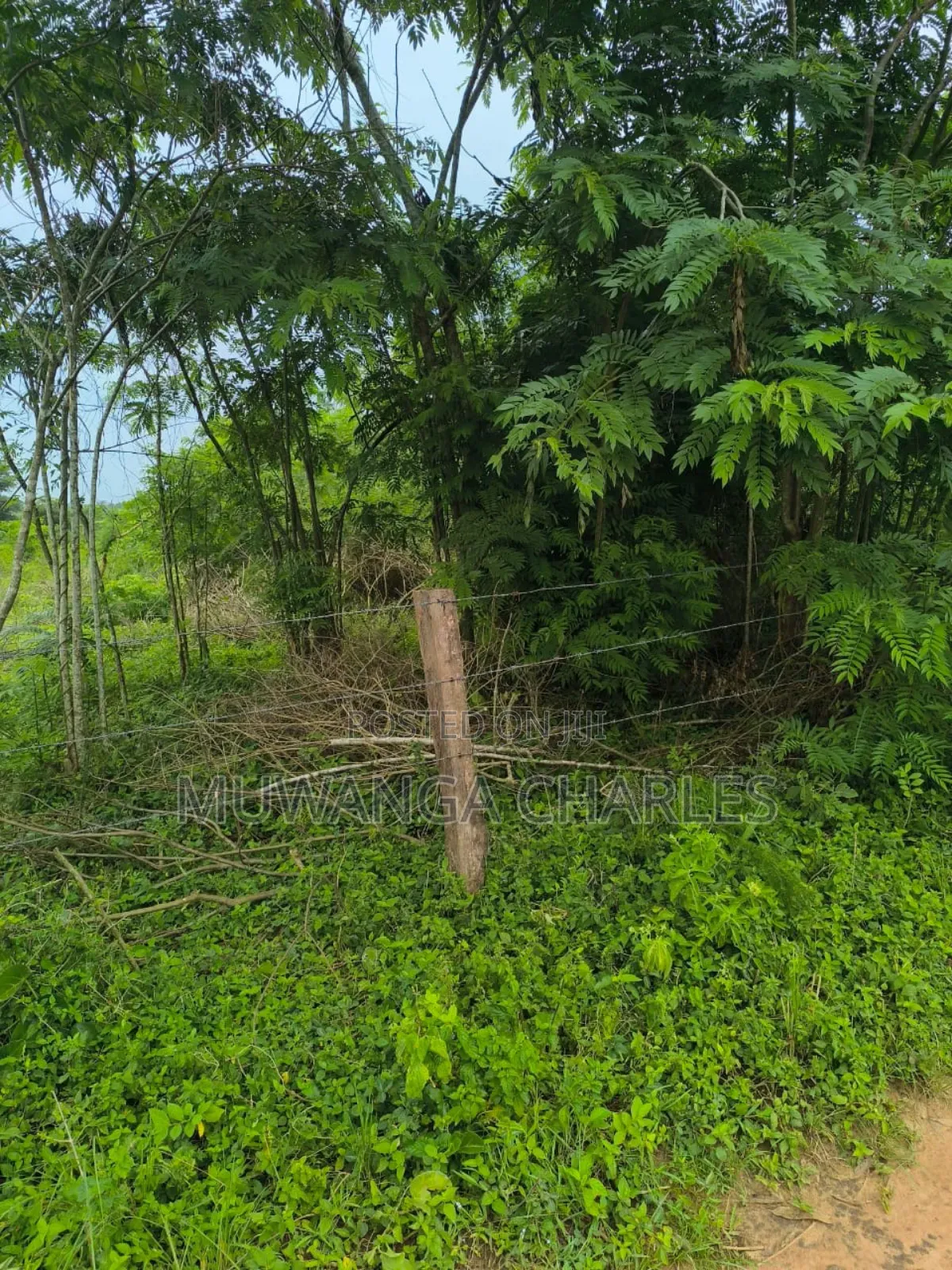 500acres Onon Sale in Nakasongola in Kakooge