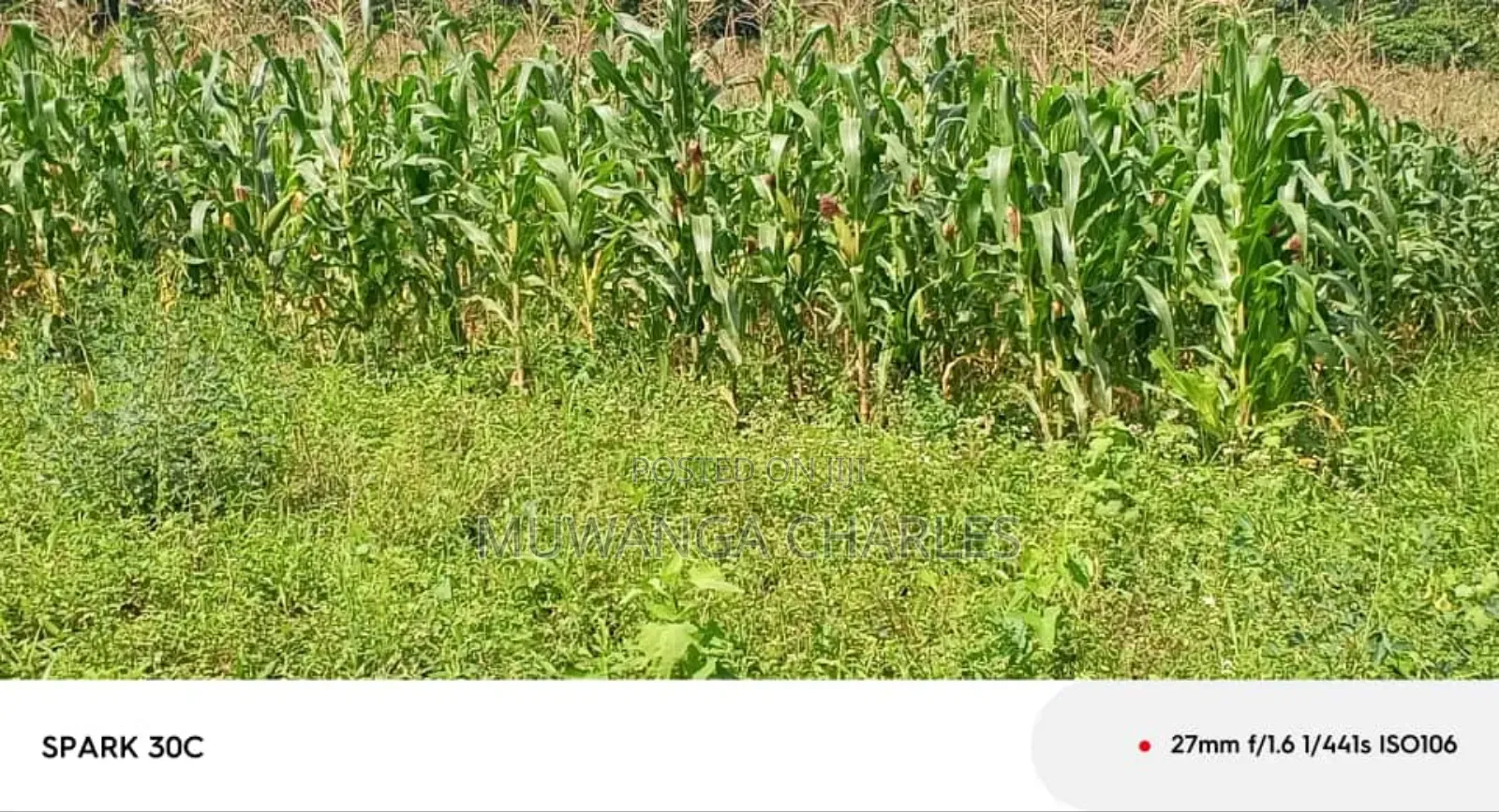 Land for Sale in Wabutungulu in Zirobwe