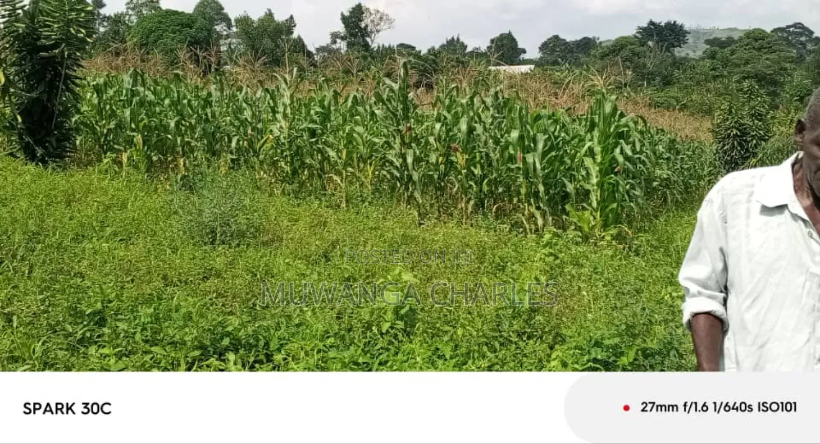 Land for Sale in Wabutungulu in Zirobwe