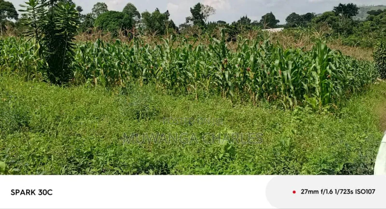 Land for Sale in Wabutungulu in Zirobwe