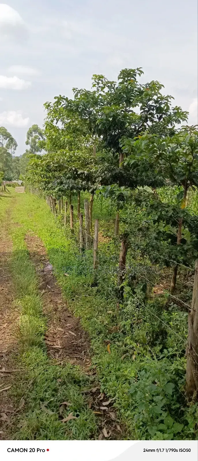 10 Acres of Freehold Titled Land for Sale in Fort Portal City. in Kabalore