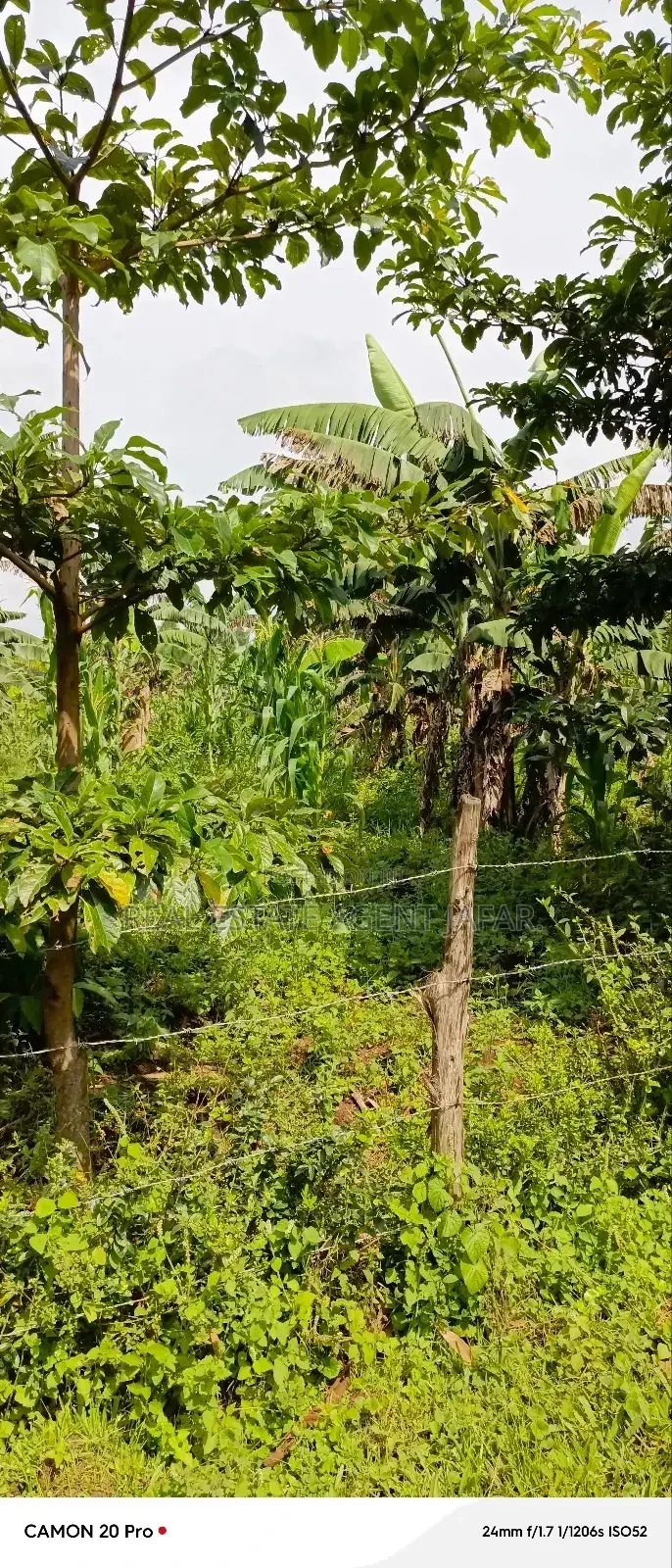 10 Acres of Freehold Titled Land for Sale in Fort Portal City. in Kabalore