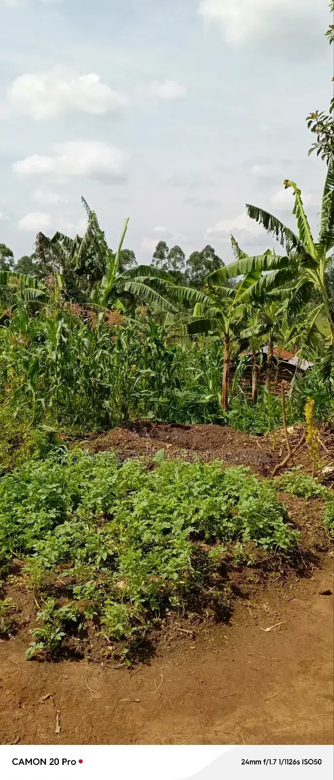 10 Acres of Freehold Titled Land for Sale in Fort Portal City. in Kabalore
