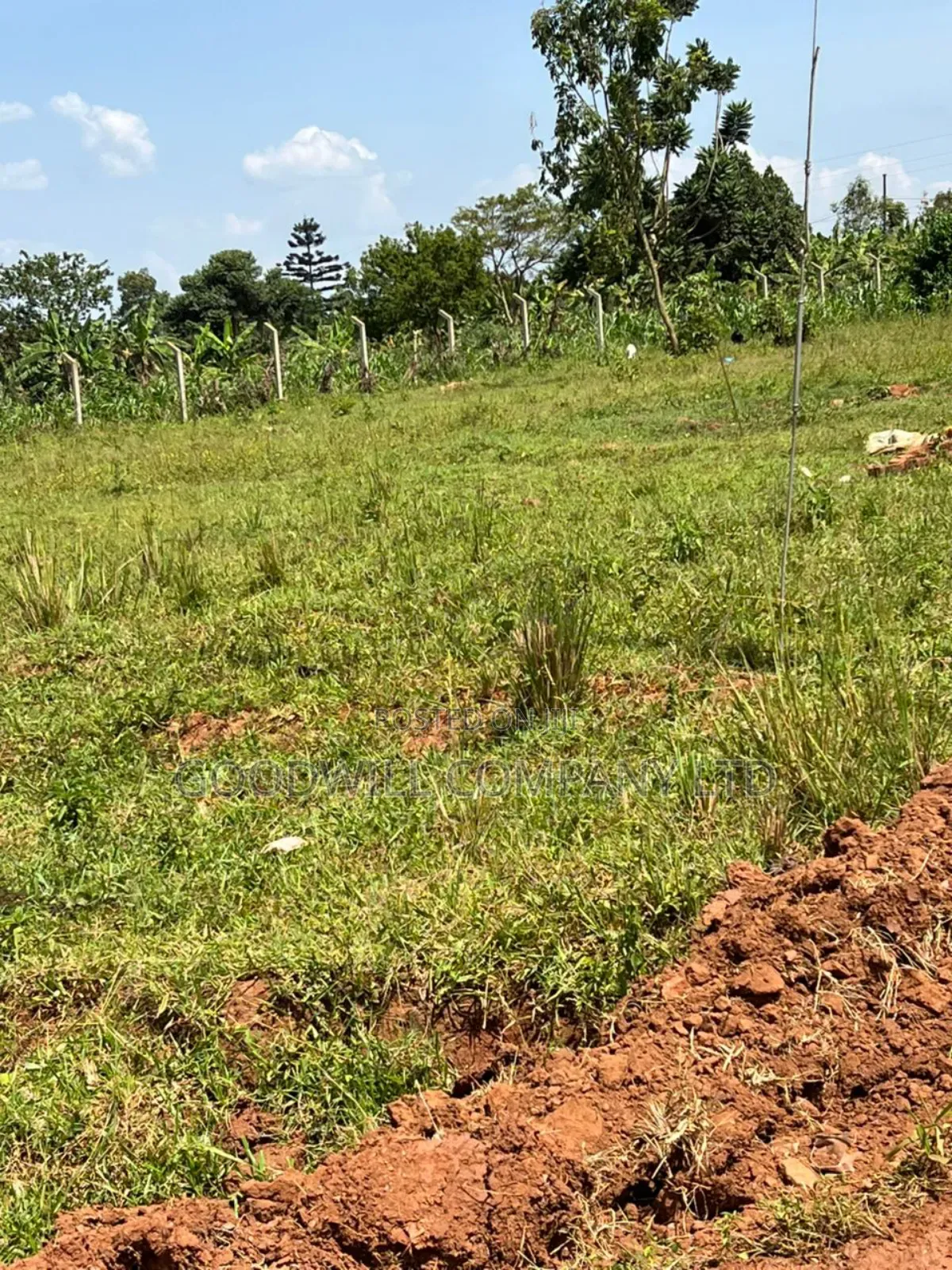 52 Decimals of Land in Gayaza Behind the Town in Central Division