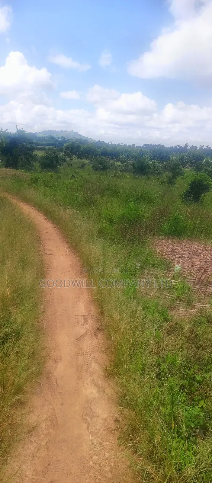 8 Acres of Land on Buwama Near Masaka Highway in Central Division