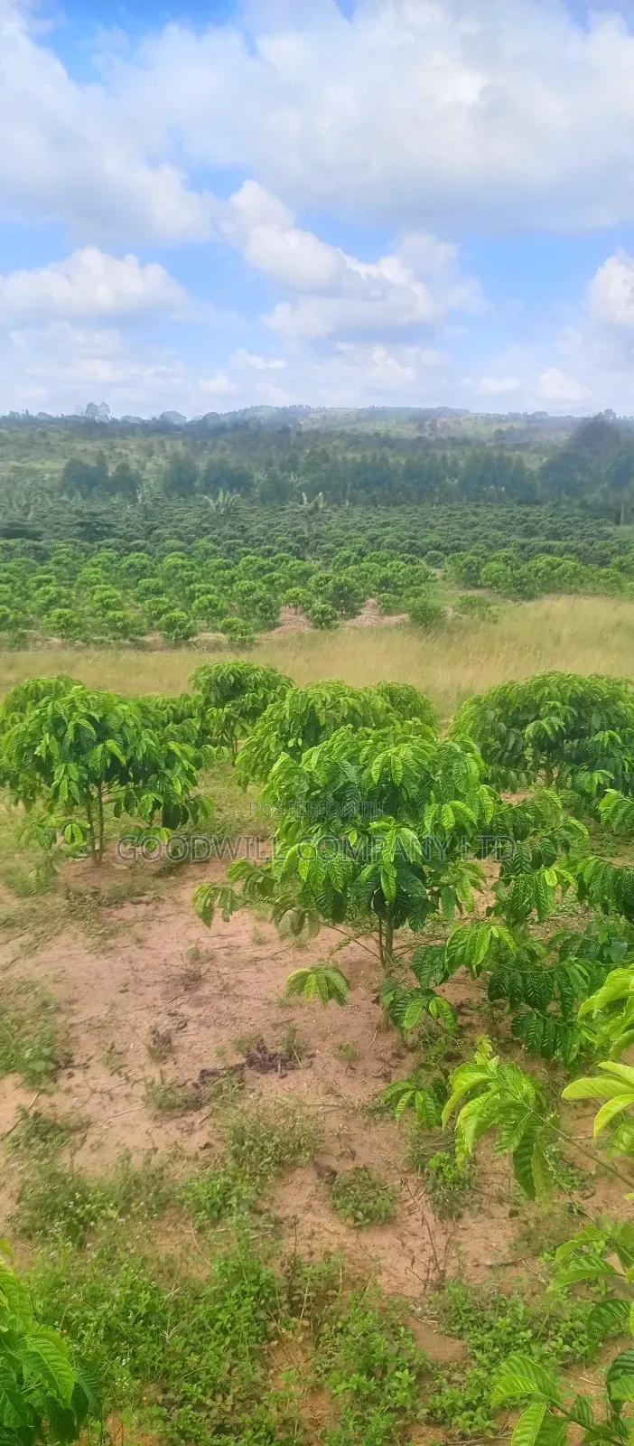 8 Acres of Land on Buwama Near Masaka Highway in Central Division