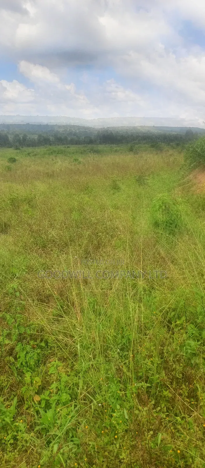8 Acres of Land on Buwama Near Masaka Highway in Central Division