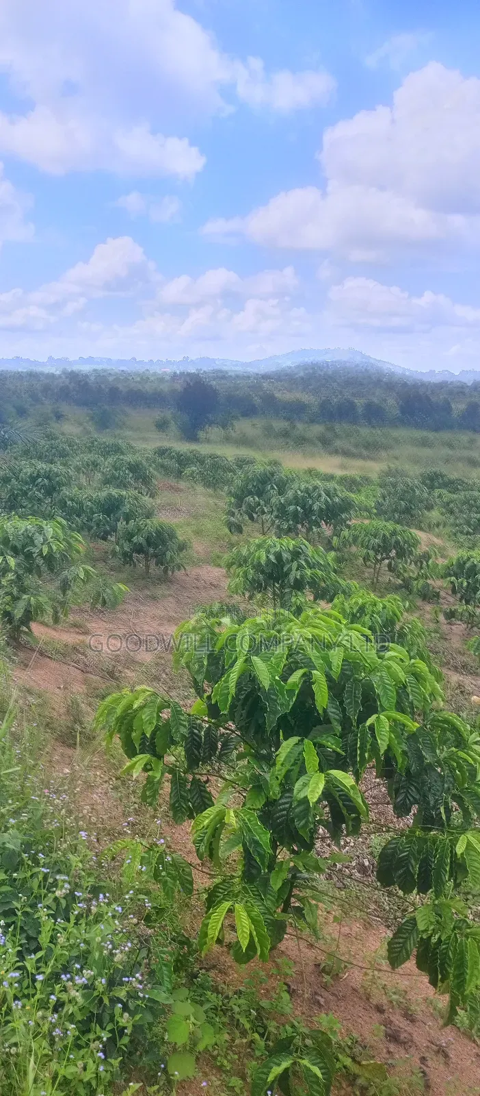 8 Acres of Land on Buwama Near Masaka Highway in Central Division