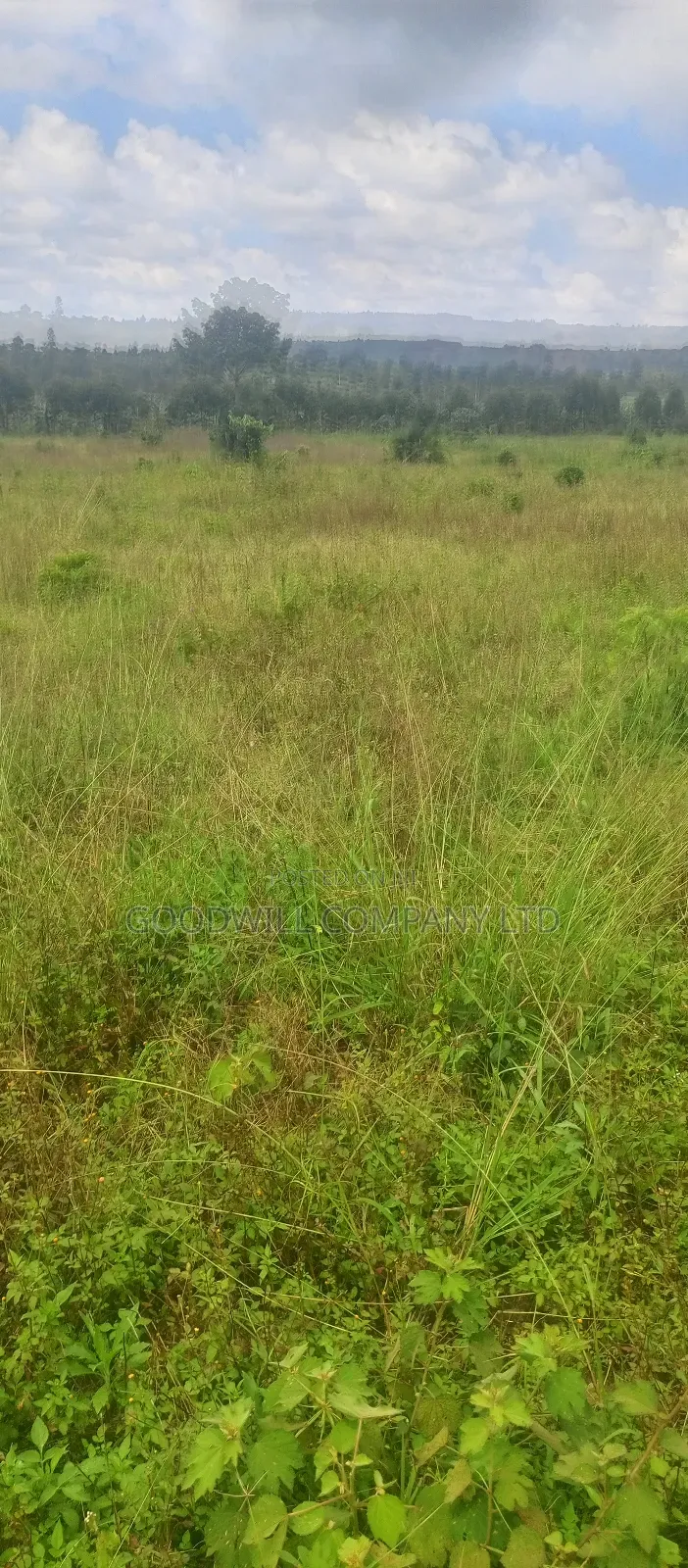 8 Acres of Land on Buwama Near Masaka Highway in Central Division