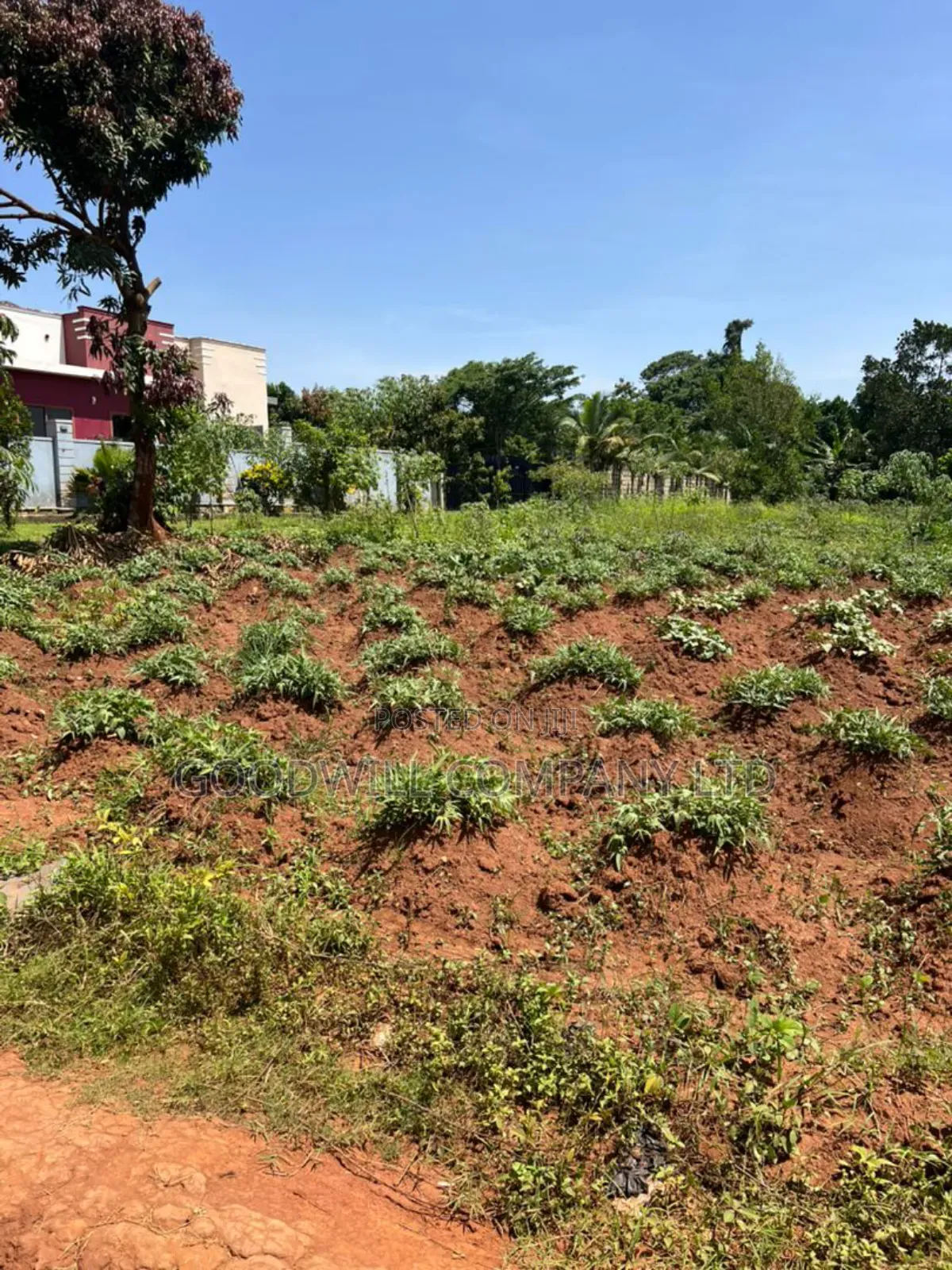 32 Decimals of Land in Kijabijjo Gayaza Behind the Town in Central Division