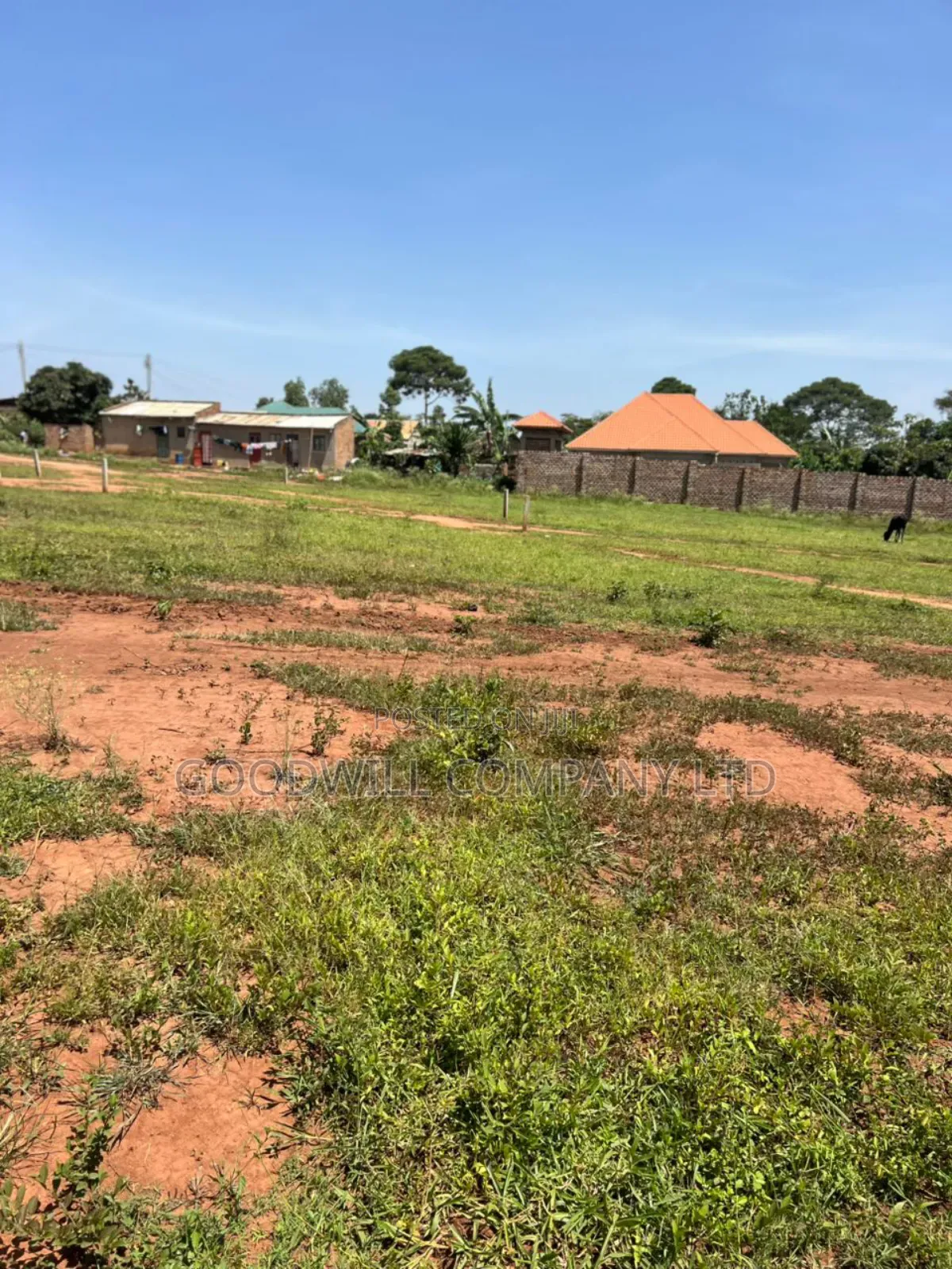 50*100feet and 100*100feet 5plots of Land in Kijabijjo After Nakwer0 in Central Division