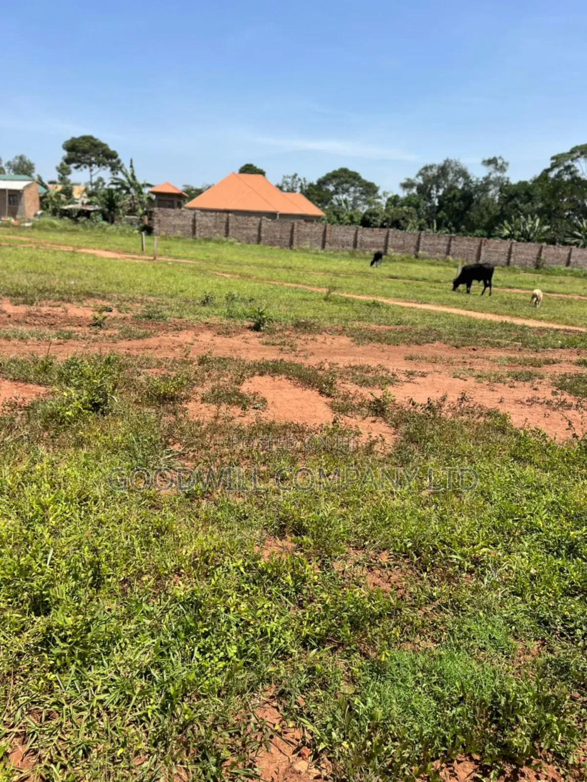 50*100feet and 100*100feet 5plots of Land in Kijabijjo After Nakwer0 in Central Division