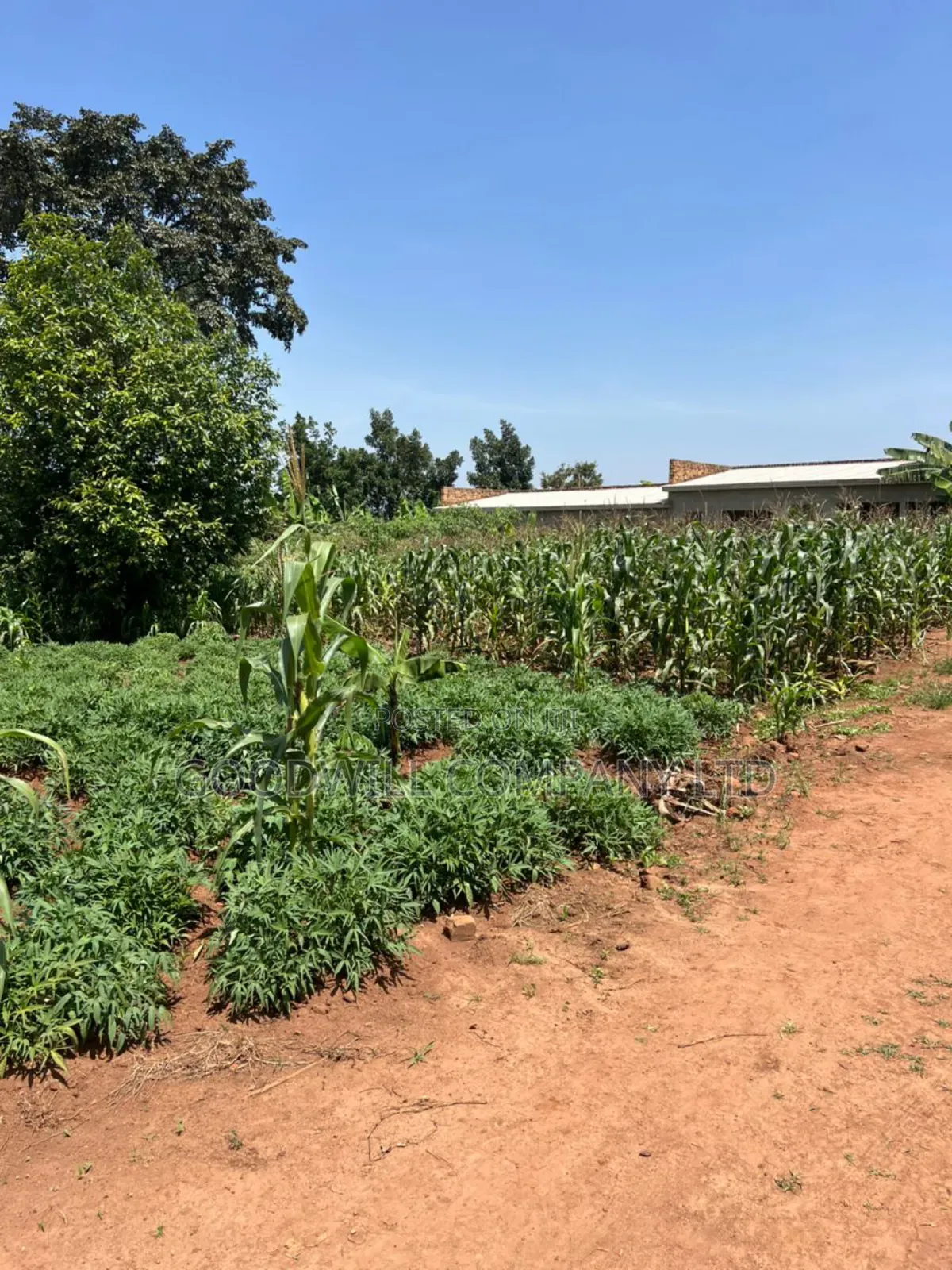 11 Decimals of Land Kijabijjo Near Town in Central Division