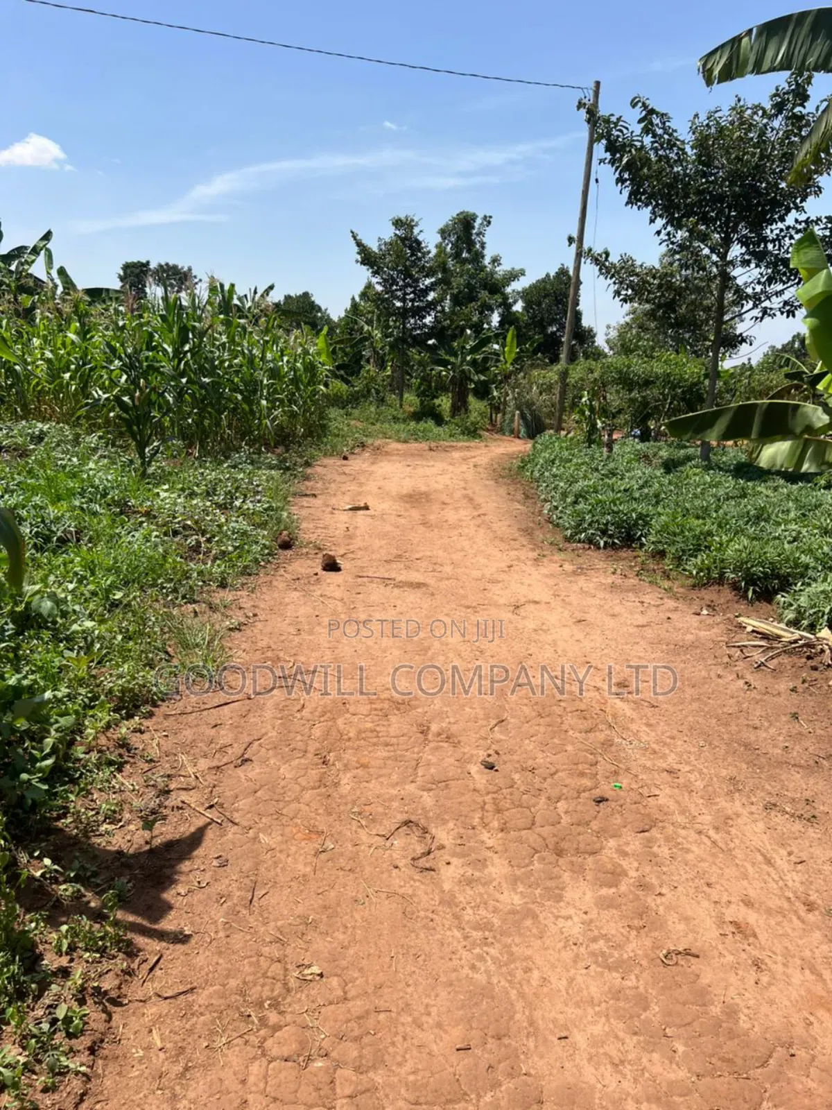 11 Decimals of Land Kijabijjo Near Town in Central Division