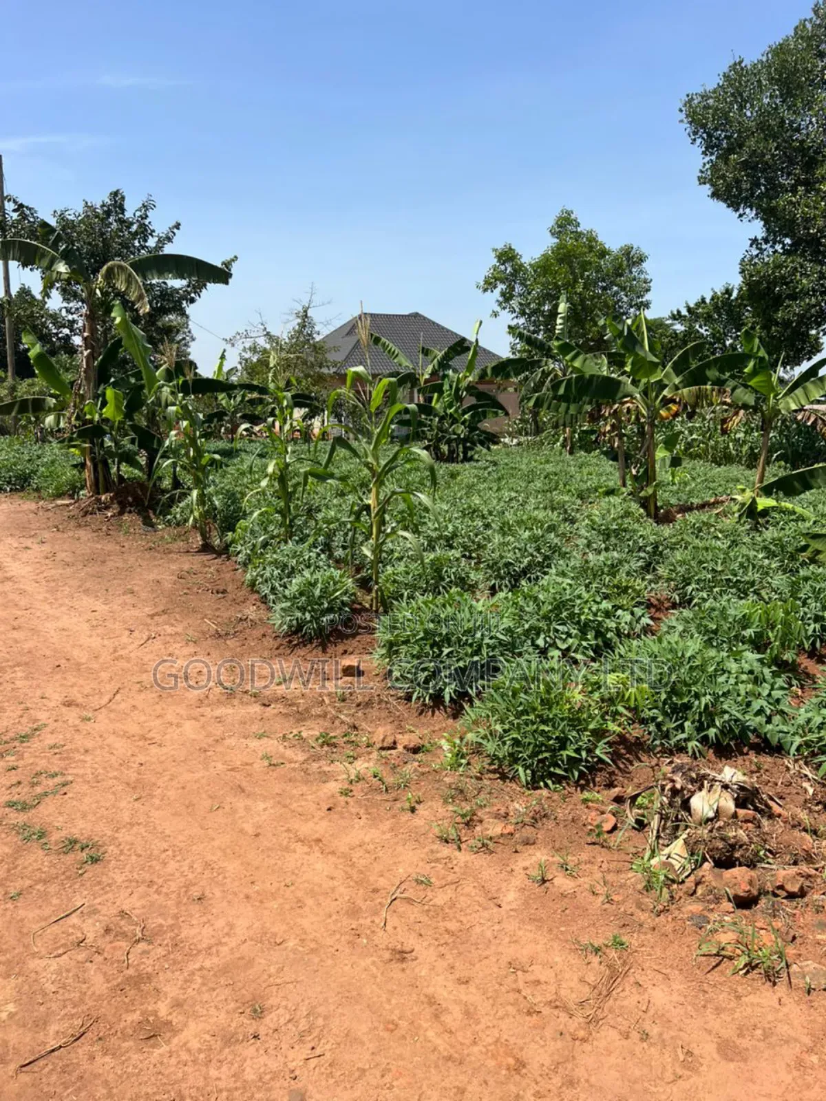 11 Decimals of Land Kijabijjo Near Town in Central Division