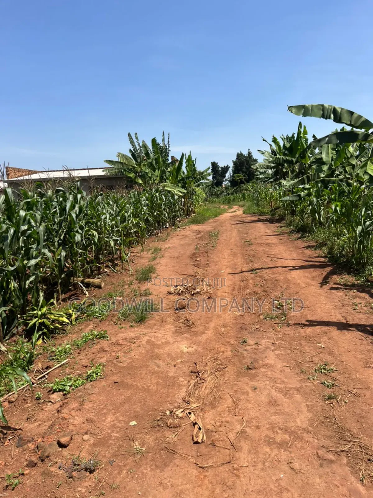 11 Decimals of Land Kijabijjo Near Town in Central Division