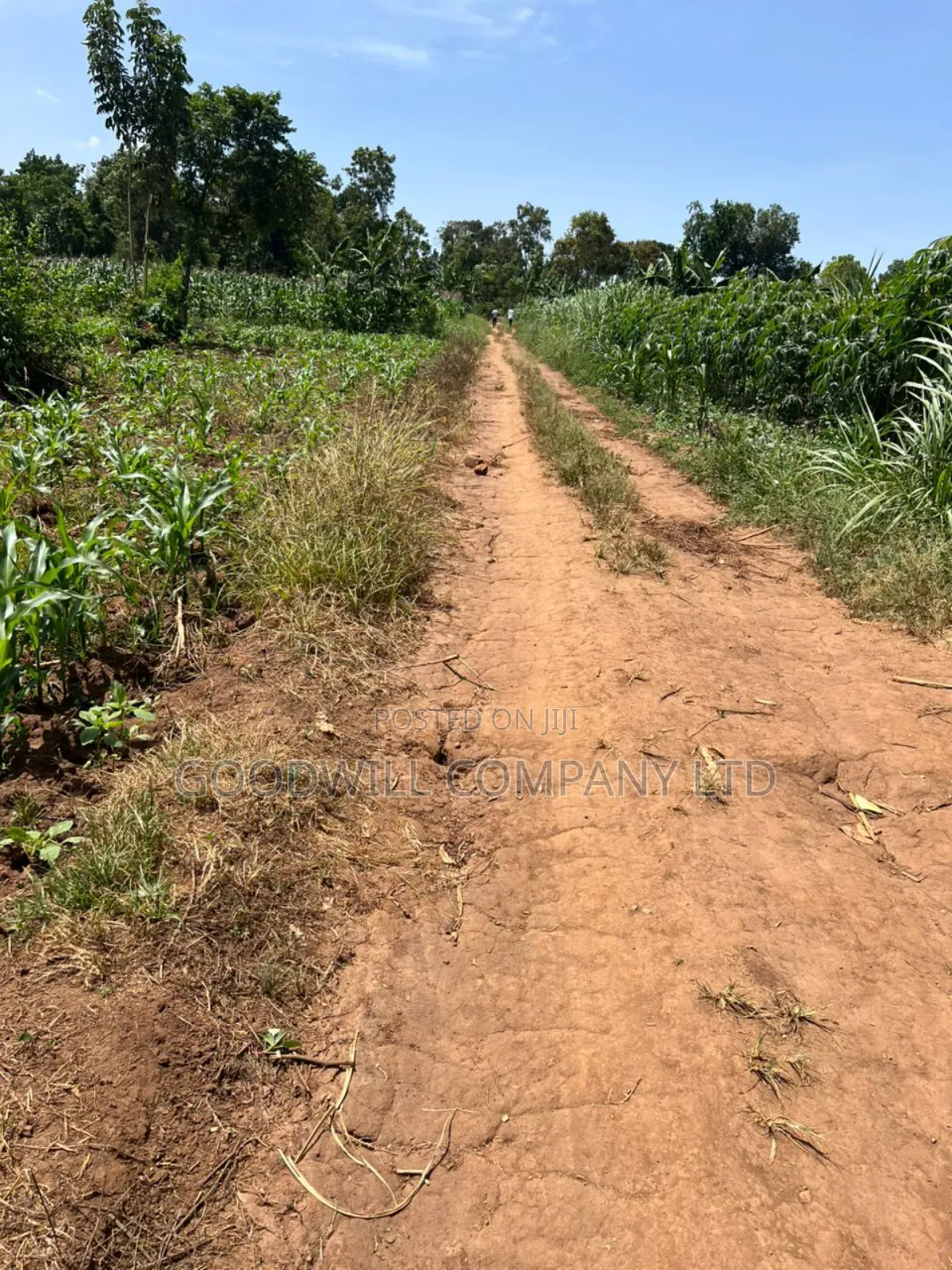 100*100feet Plot of Land in Kijabijjo After Nakwero Gayaza in Central Division