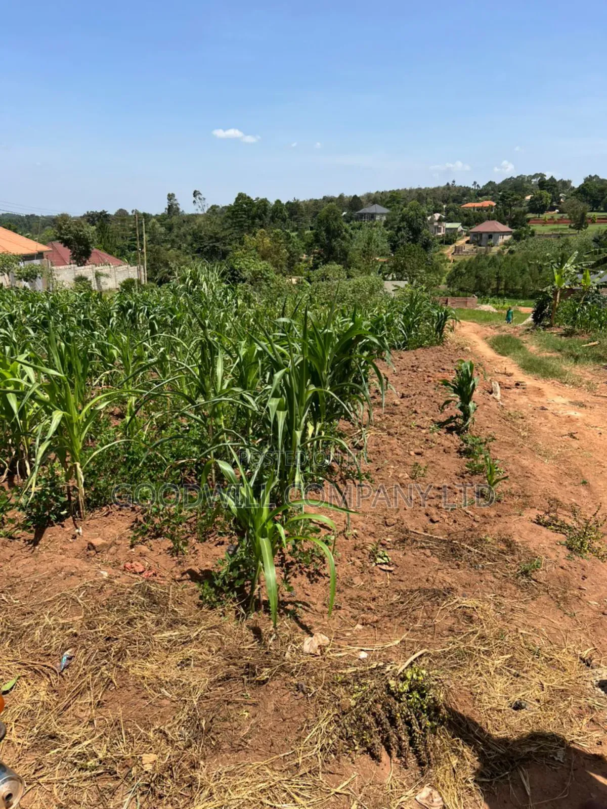 24 Decimals of Land in Kijabijjo Highly Developed Estate in Central Division
