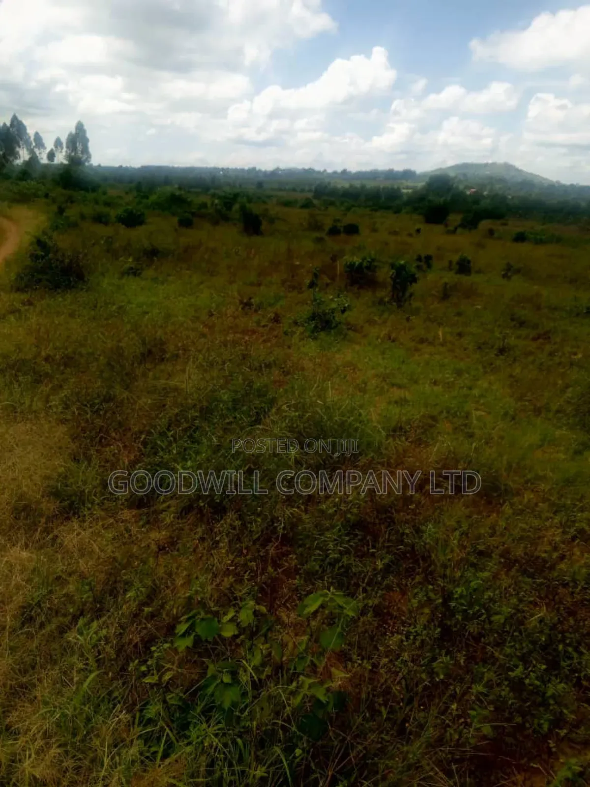 25 Acres of Land in Nabyewanga Mawokota After Buwama Town in Central Division