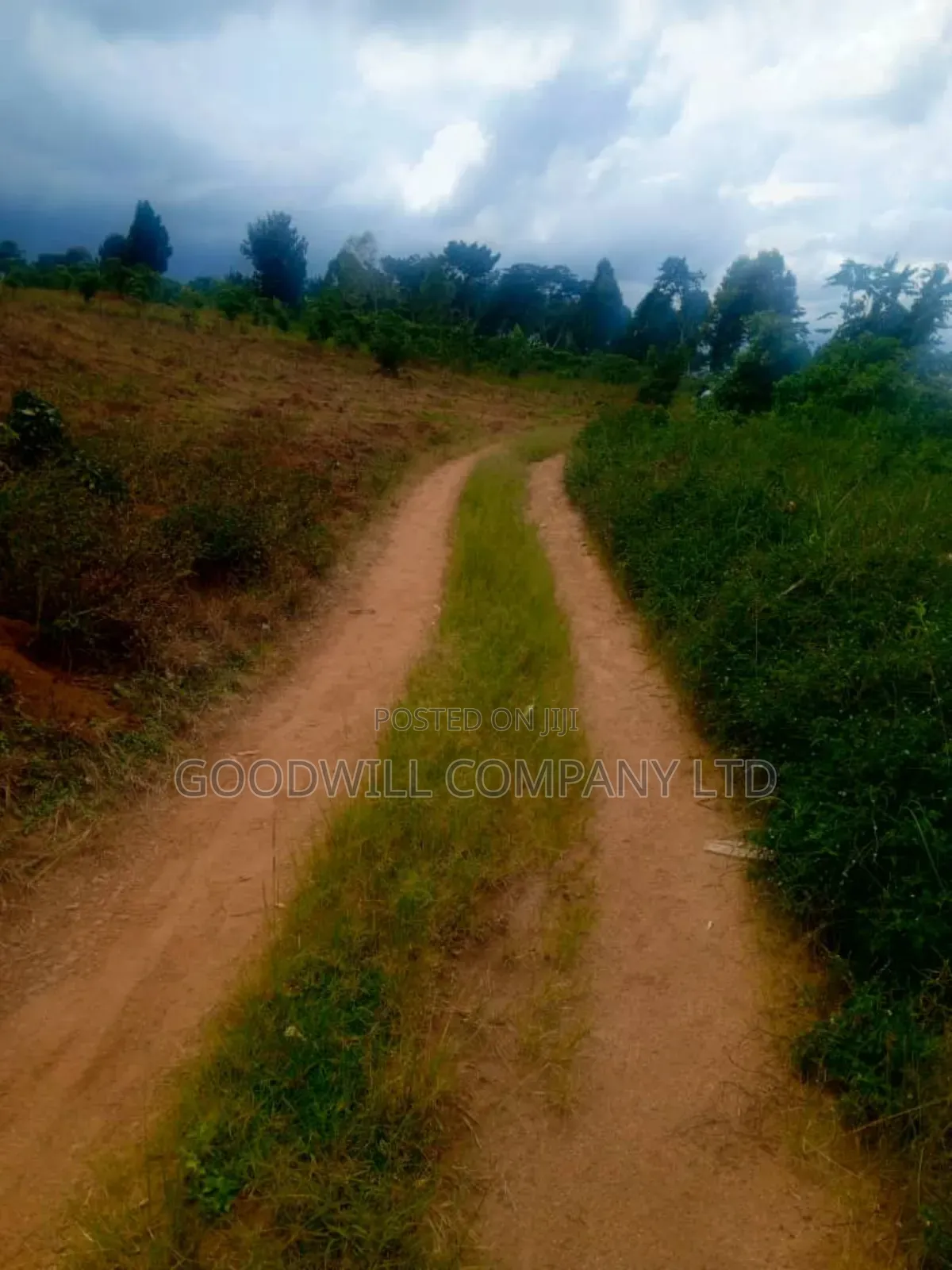 25 Acres of Land in Nabyewanga Mawokota After Buwama Town in Central Division