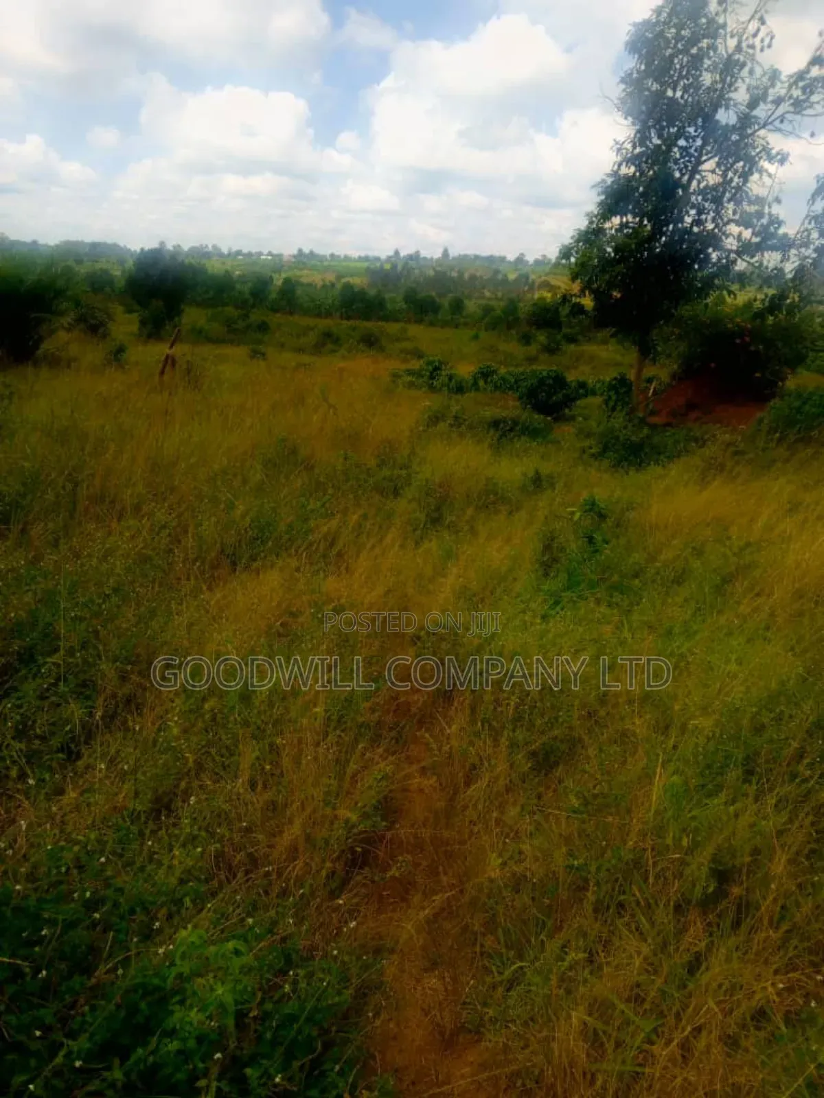 25 Acres of Land in Nabyewanga Mawokota After Buwama Town in Central Division