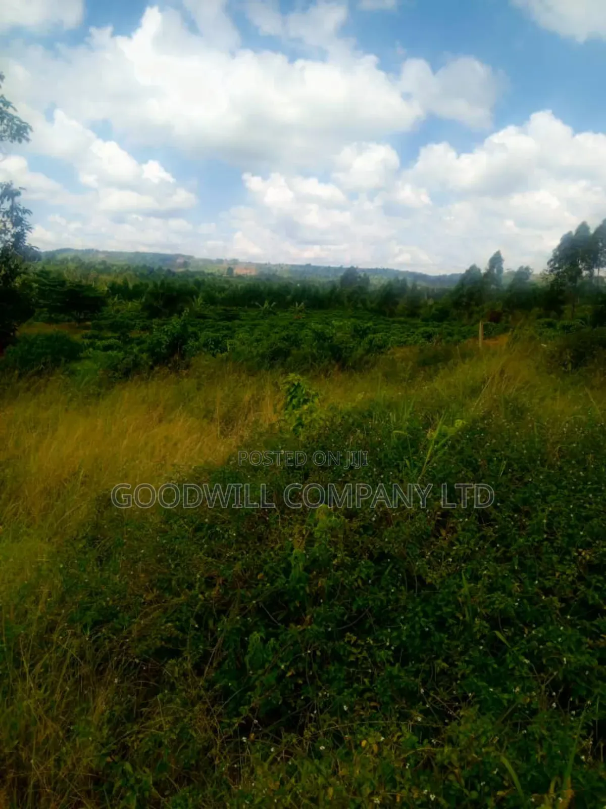 25 Acres of Land in Nabyewanga Mawokota After Buwama Town in Central Division
