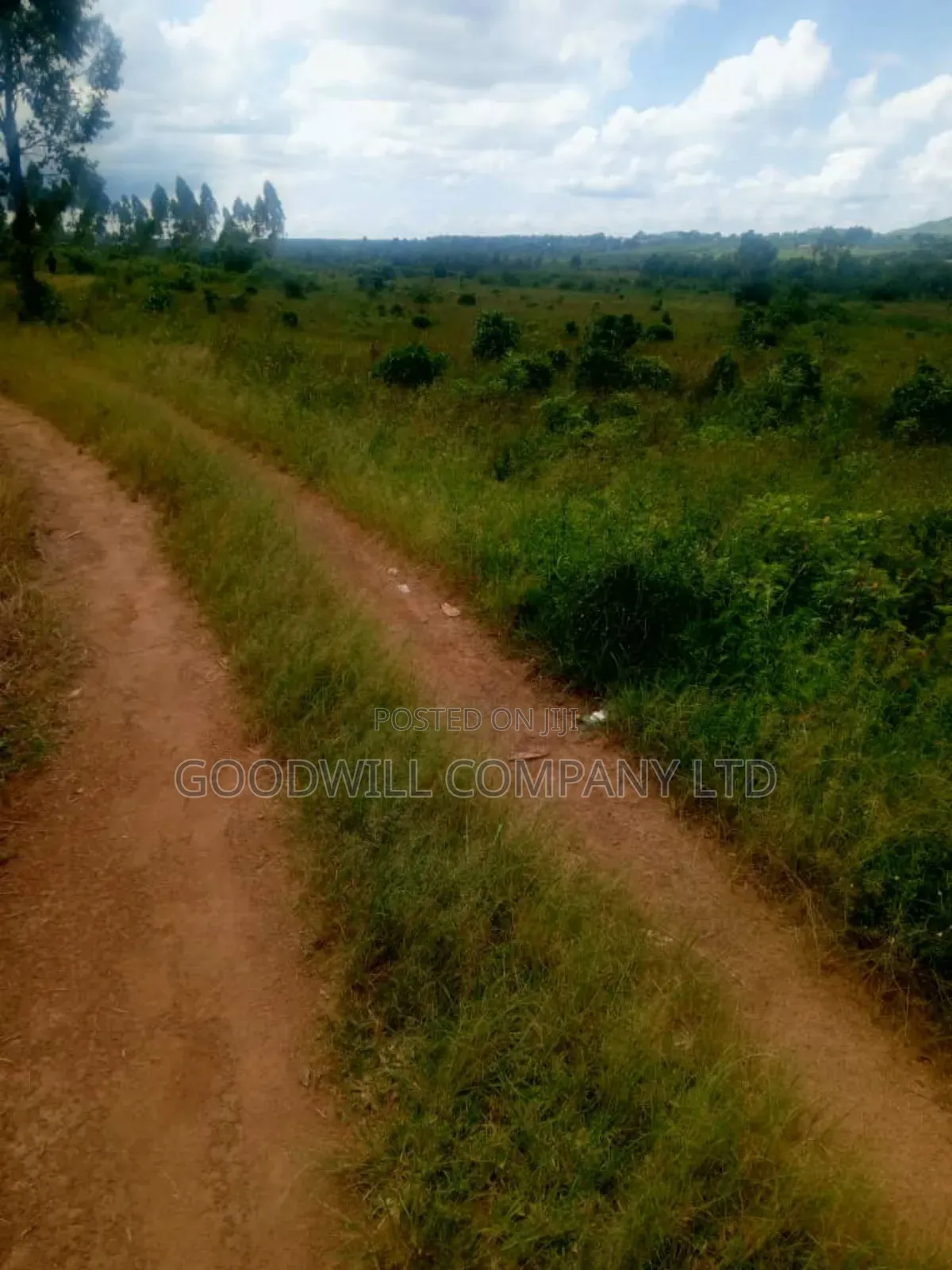 25 Acres of Land in Nabyewanga Mawokota After Buwama Town in Central Division