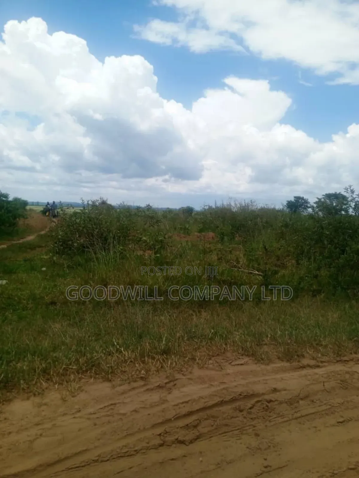 26 Acres of Land Mawokota on Masaka Road in Central Division
