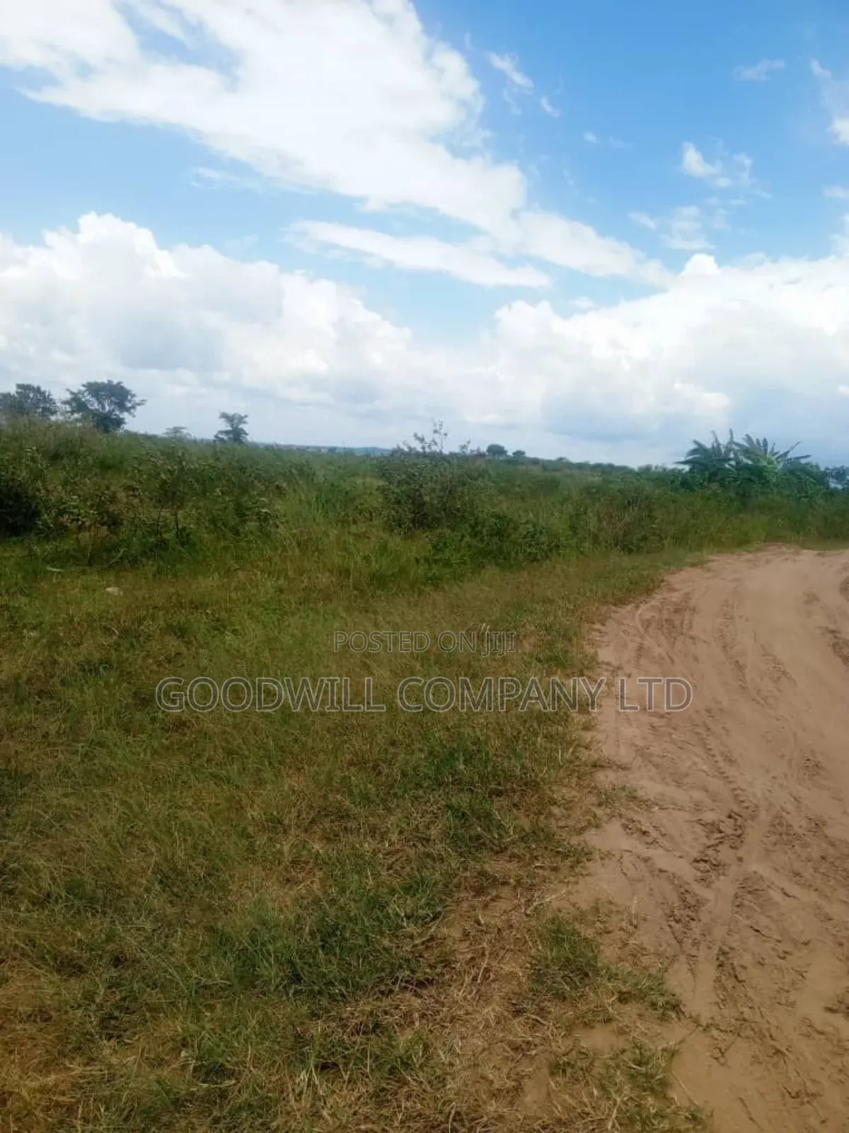 26 Acres of Land Mawokota on Masaka Road in Central Division