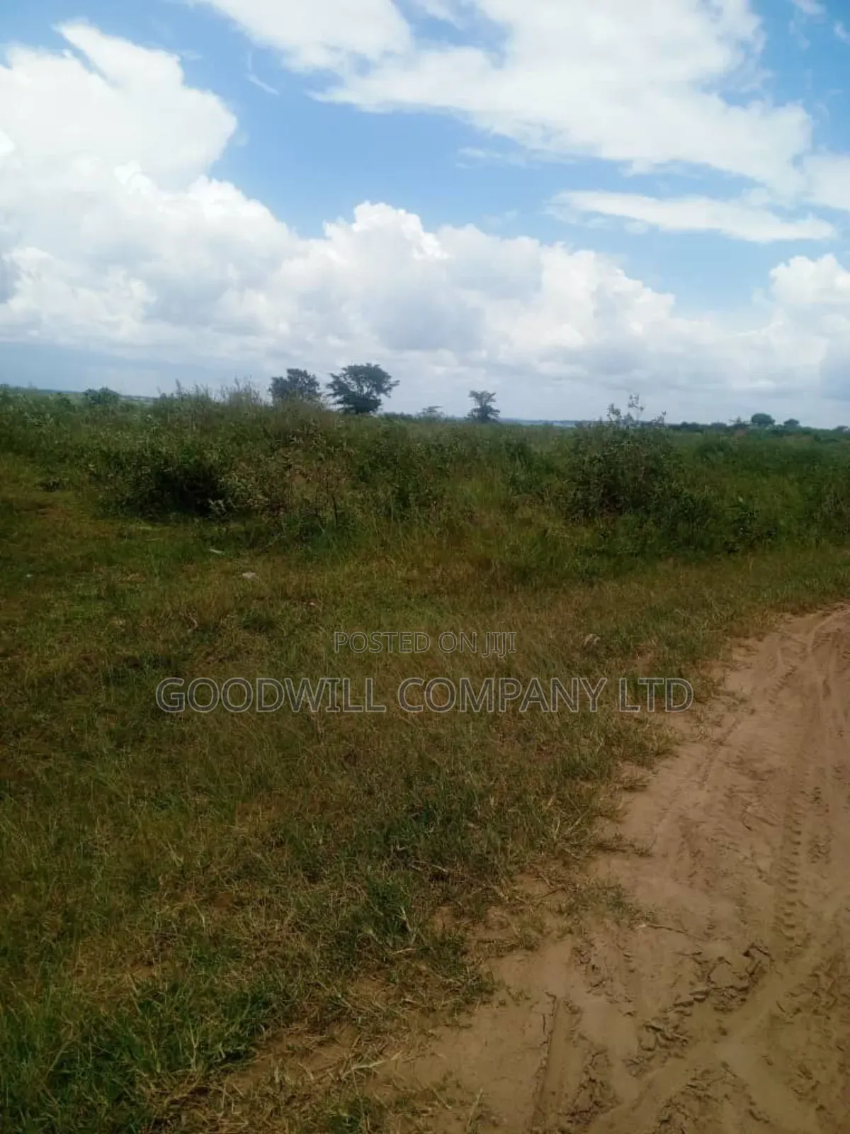 26 Acres of Land Mawokota on Masaka Road in Central Division