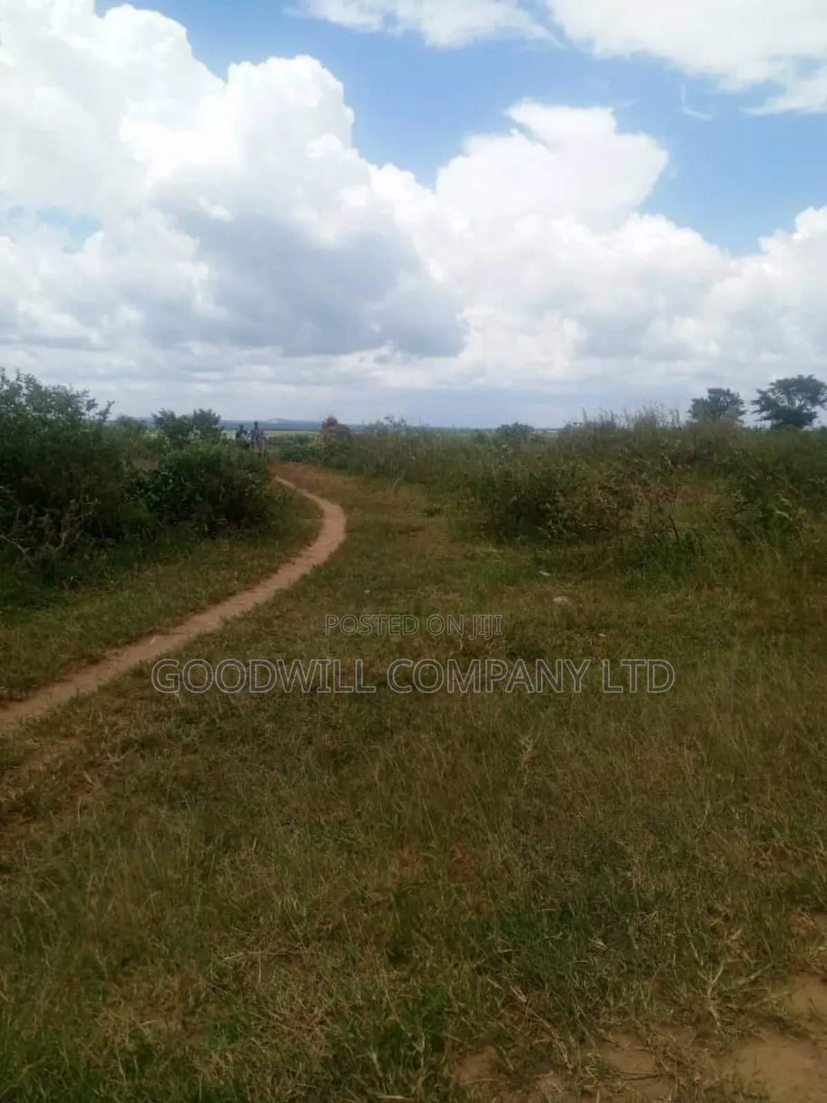 26 Acres of Land Mawokota on Masaka Road in Central Division