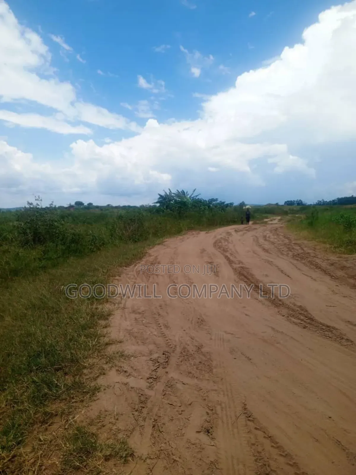 26 Acres of Land Mawokota on Masaka Road in Central Division