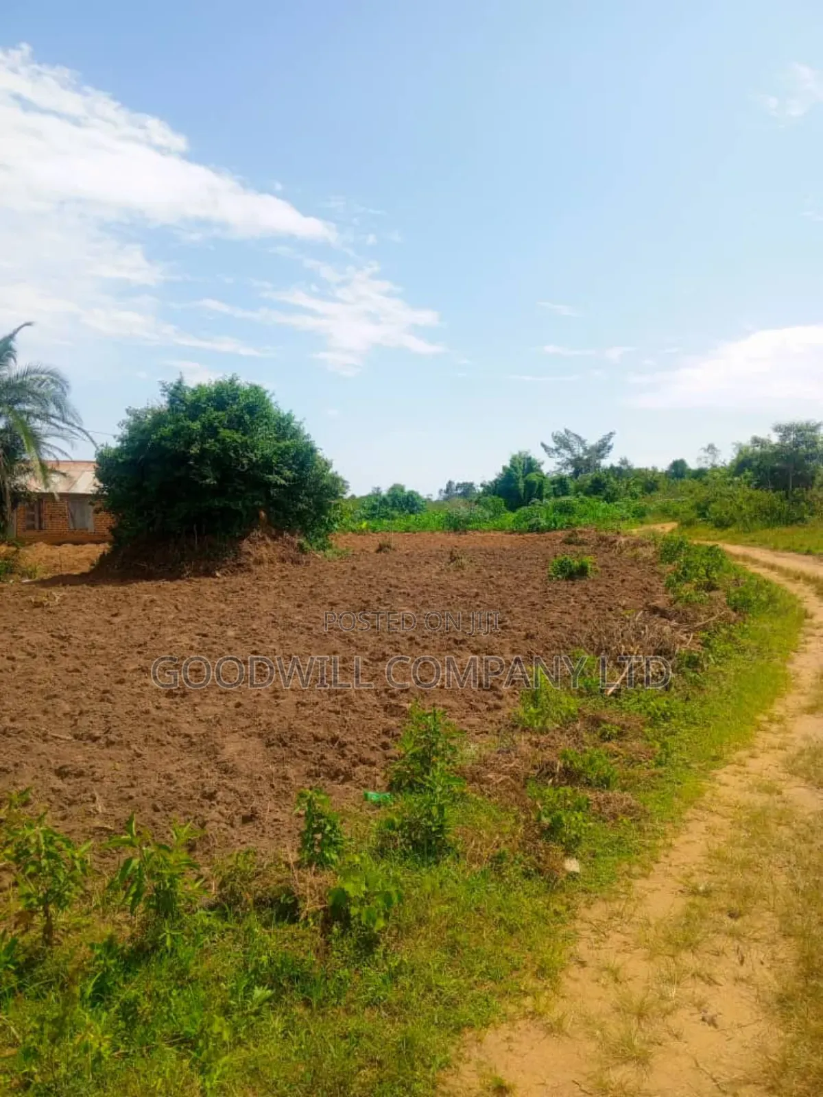24 Acres of Land in Sunga Masaka on Bukakata Road in Central Division